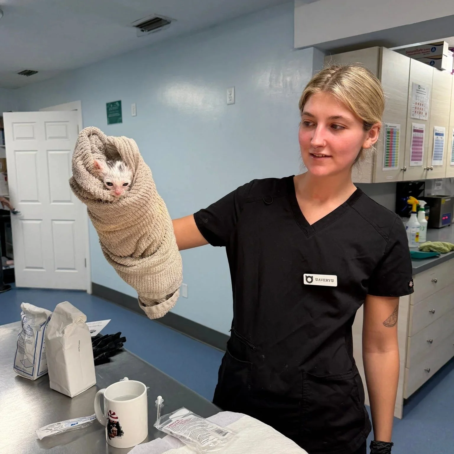 Clinic Technician Avery holding a Community Kitten