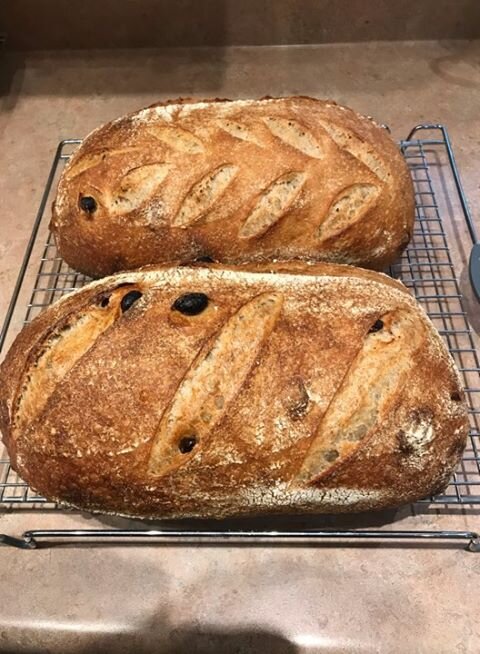 Cinnamon Raisin.jpeg