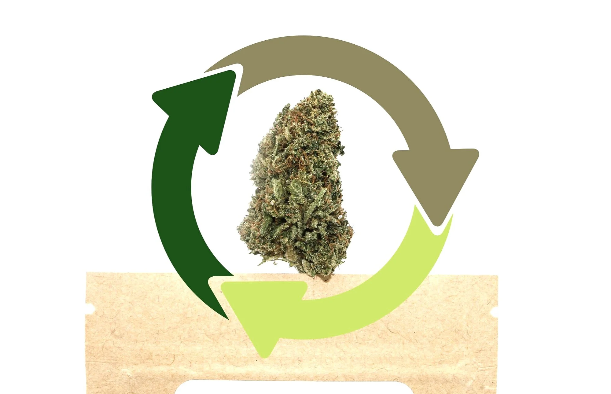 Sustainable+packaging