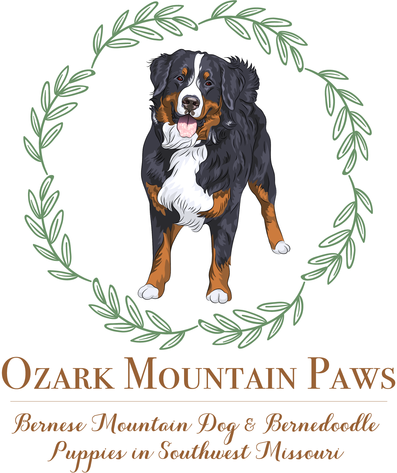 Bernese Mountain Dog Puppies Southwest Missouri