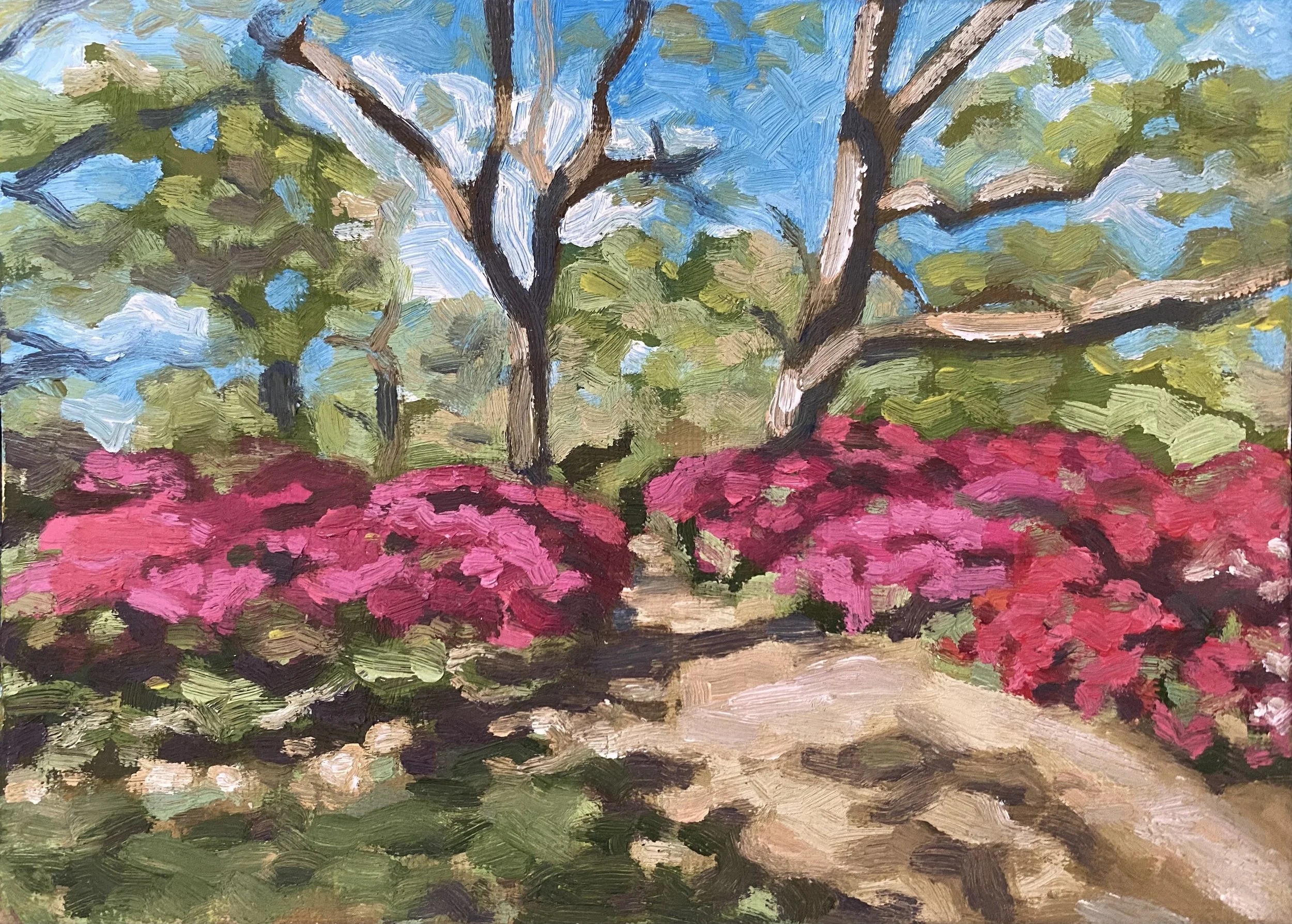 'Azaleas'