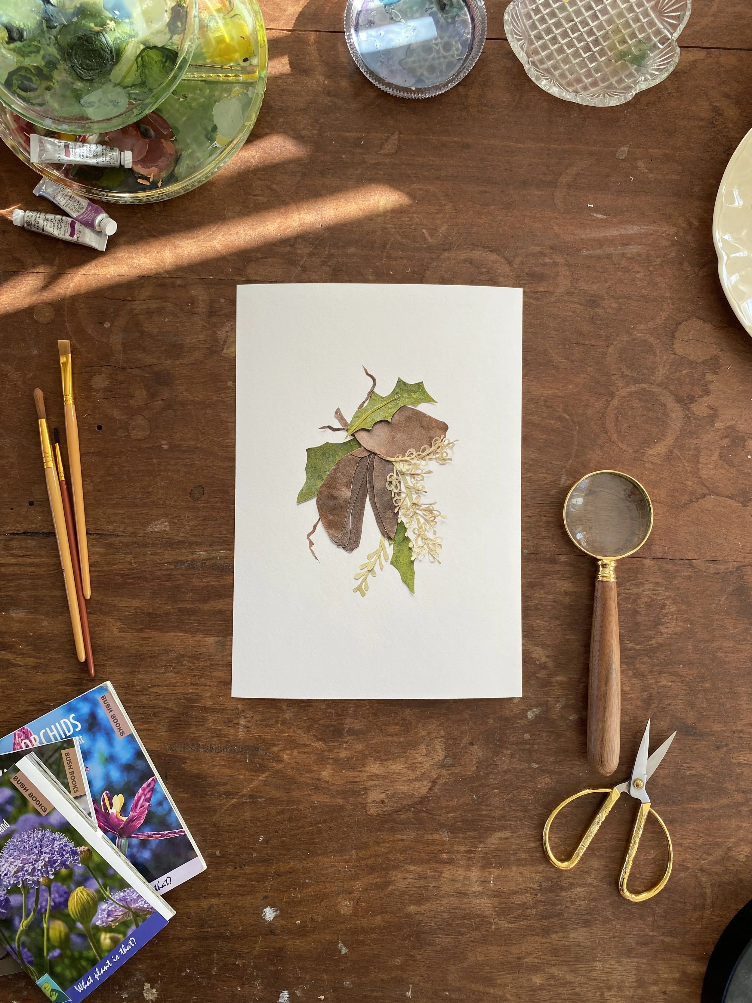 Tahnee Denholm Studio | Fine Art Prints - woody pear.JPG