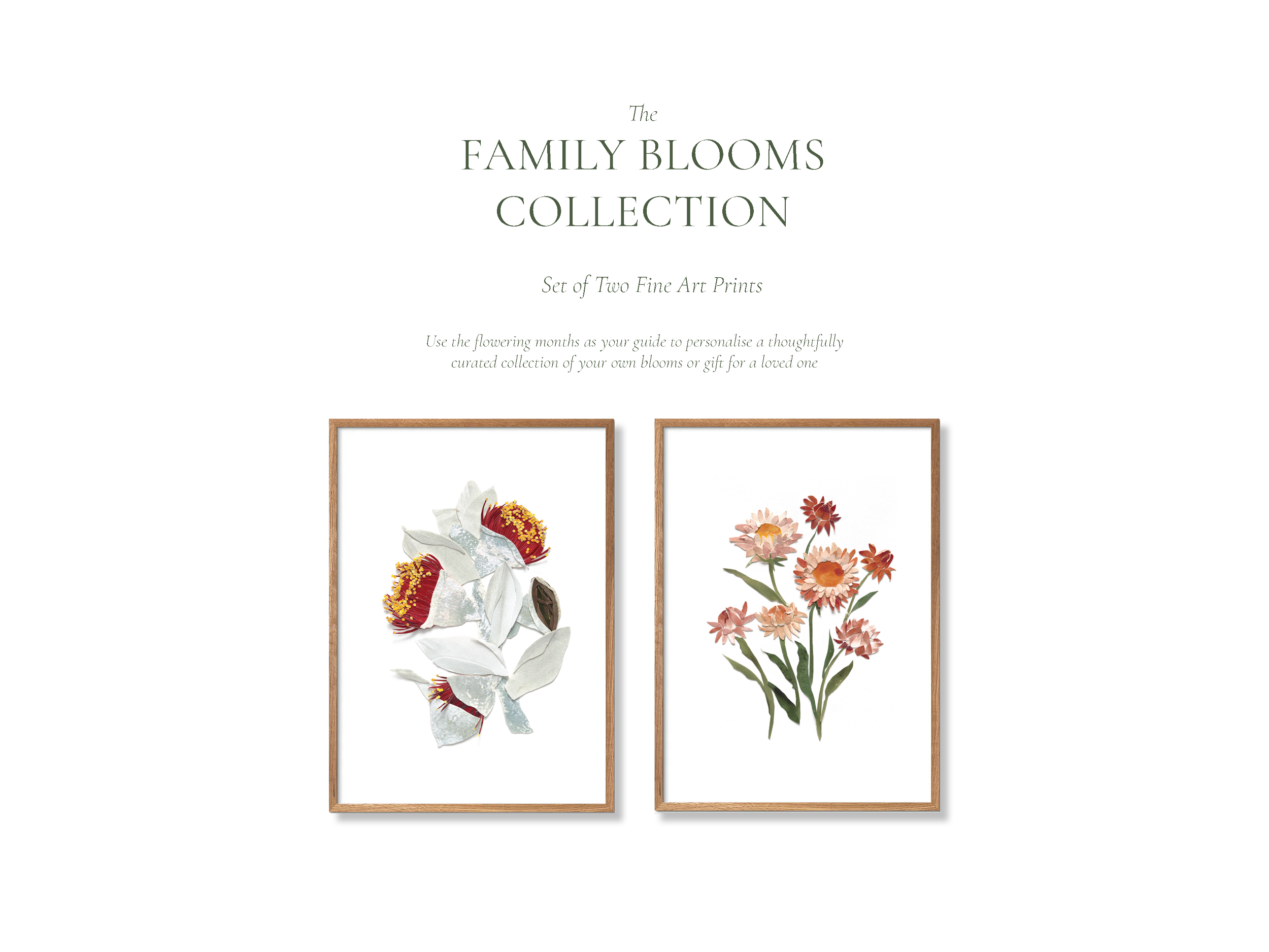 Family Blooms Collection _02_02.png