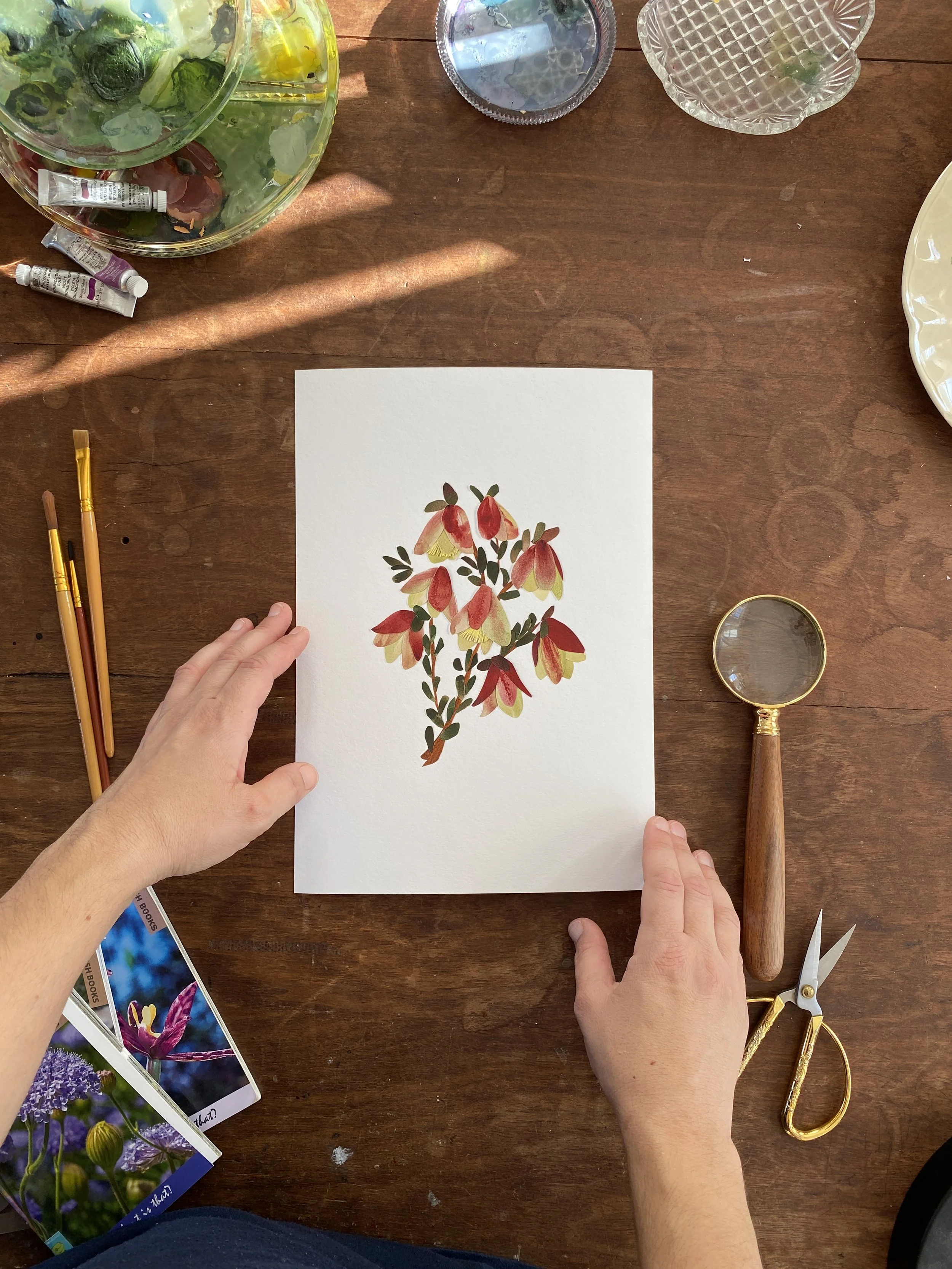 Tahnee Denholm Studio | Fine Art Prints - qualup bell hands.JPG