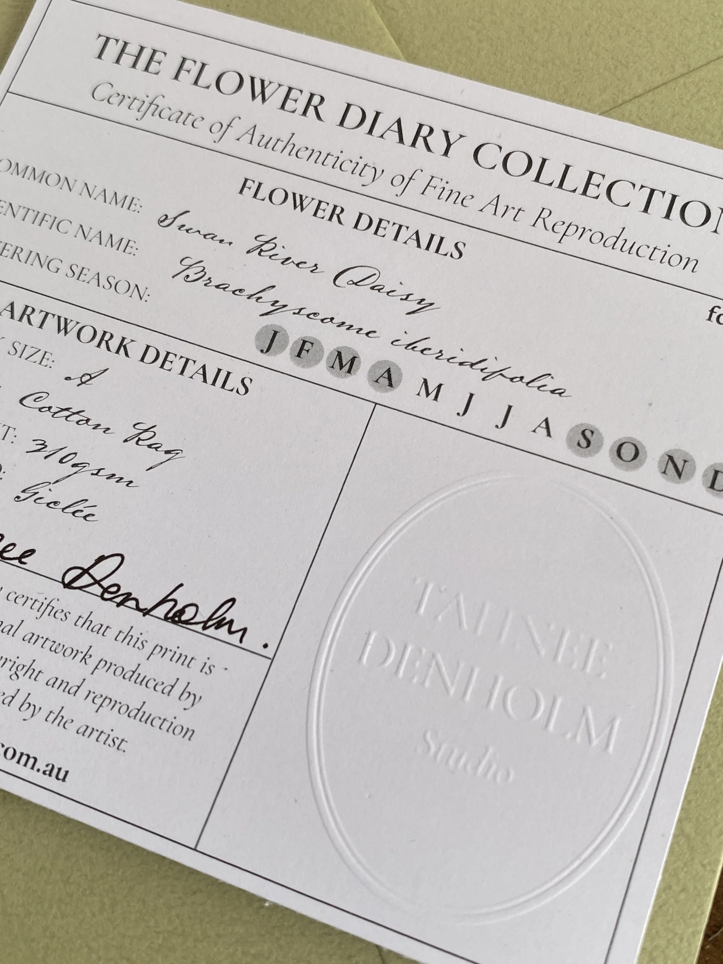 IMG_1686.JPG (Copy) (Copy) (Copy) (Copy)