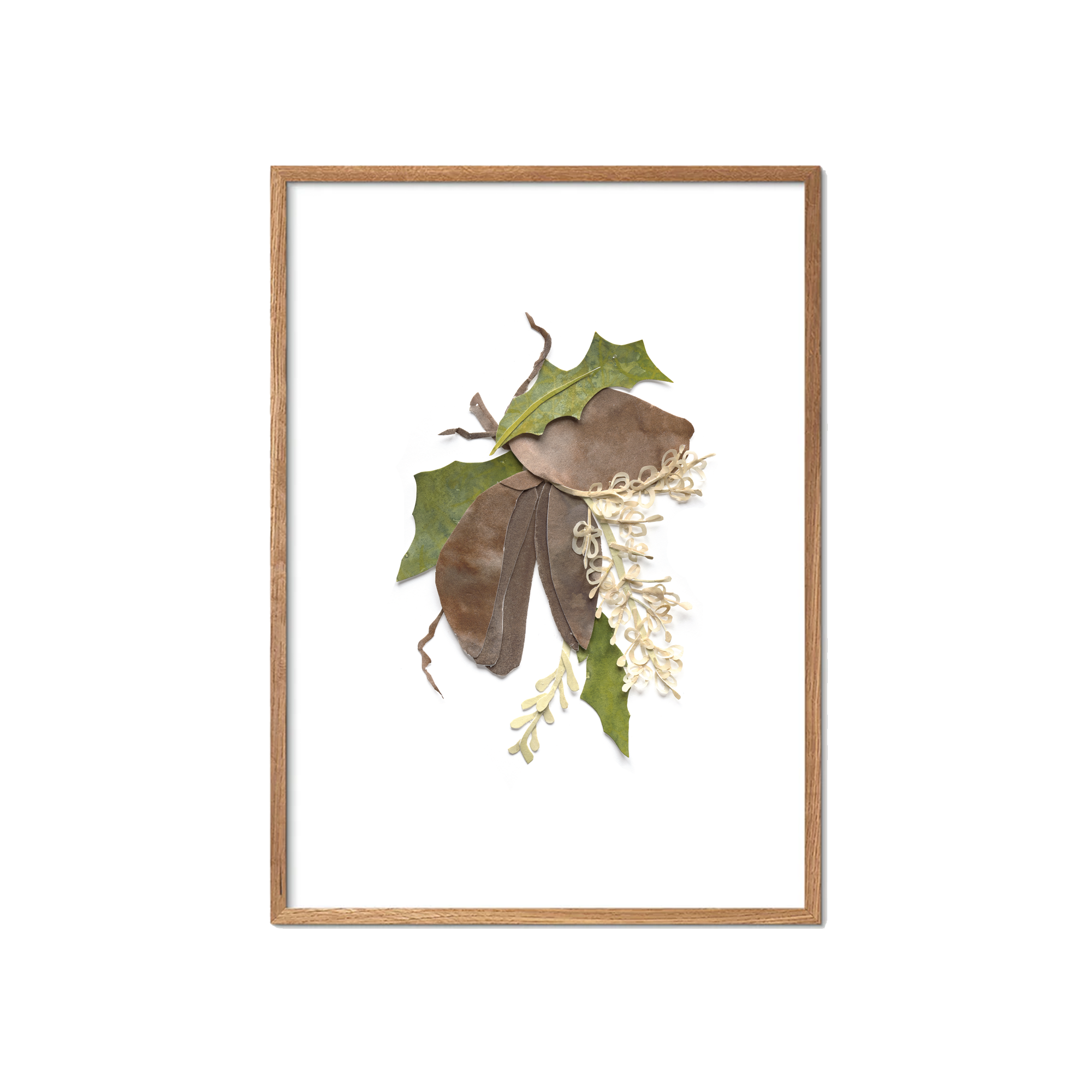Woody Pear Fine Art Print | Tahnee Denholm Studio - Botanical Art Australia