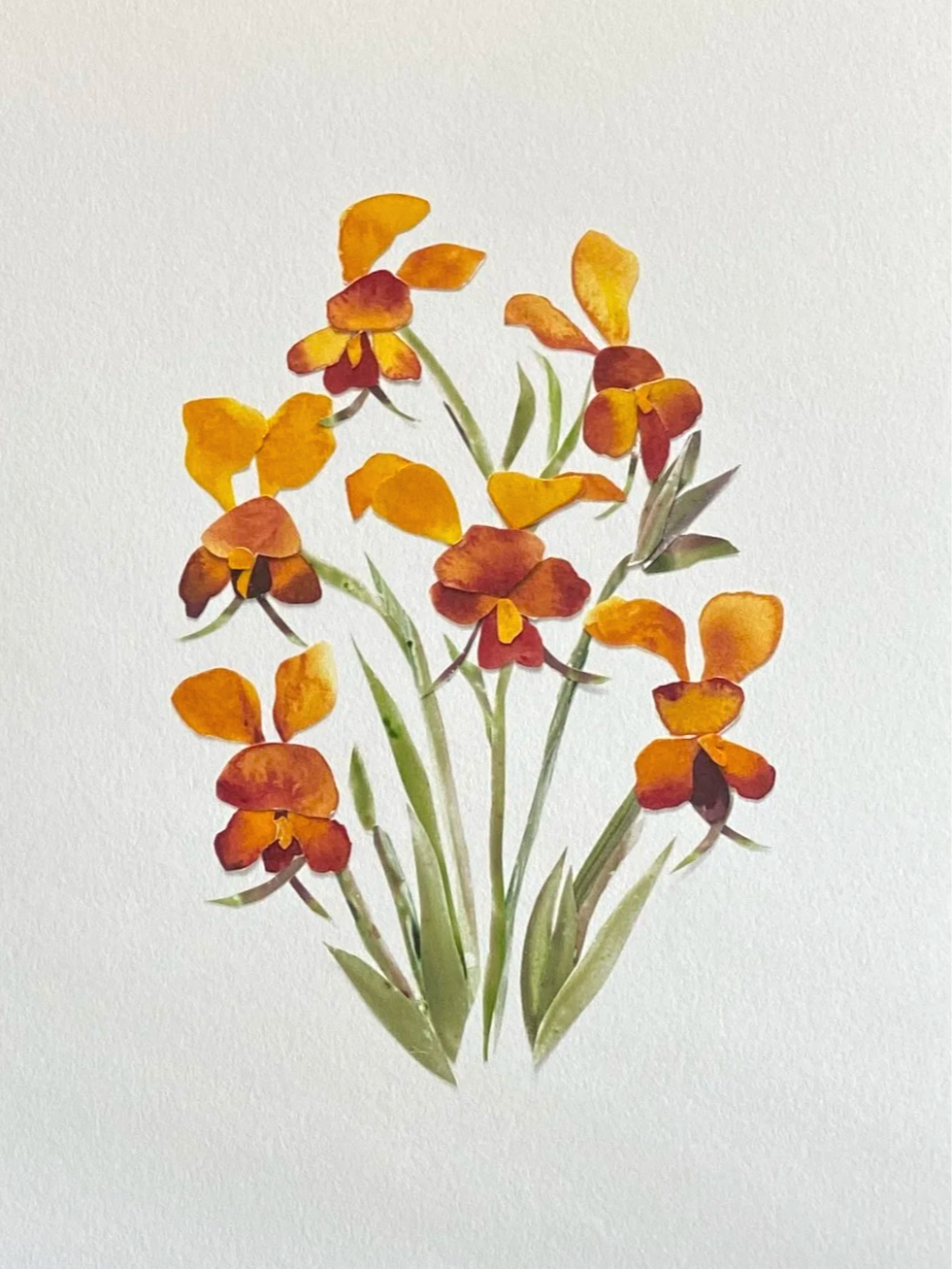 Watercolor paper cut artwork painting of orange and red donkey orchid flowers with green leaves on a white background.