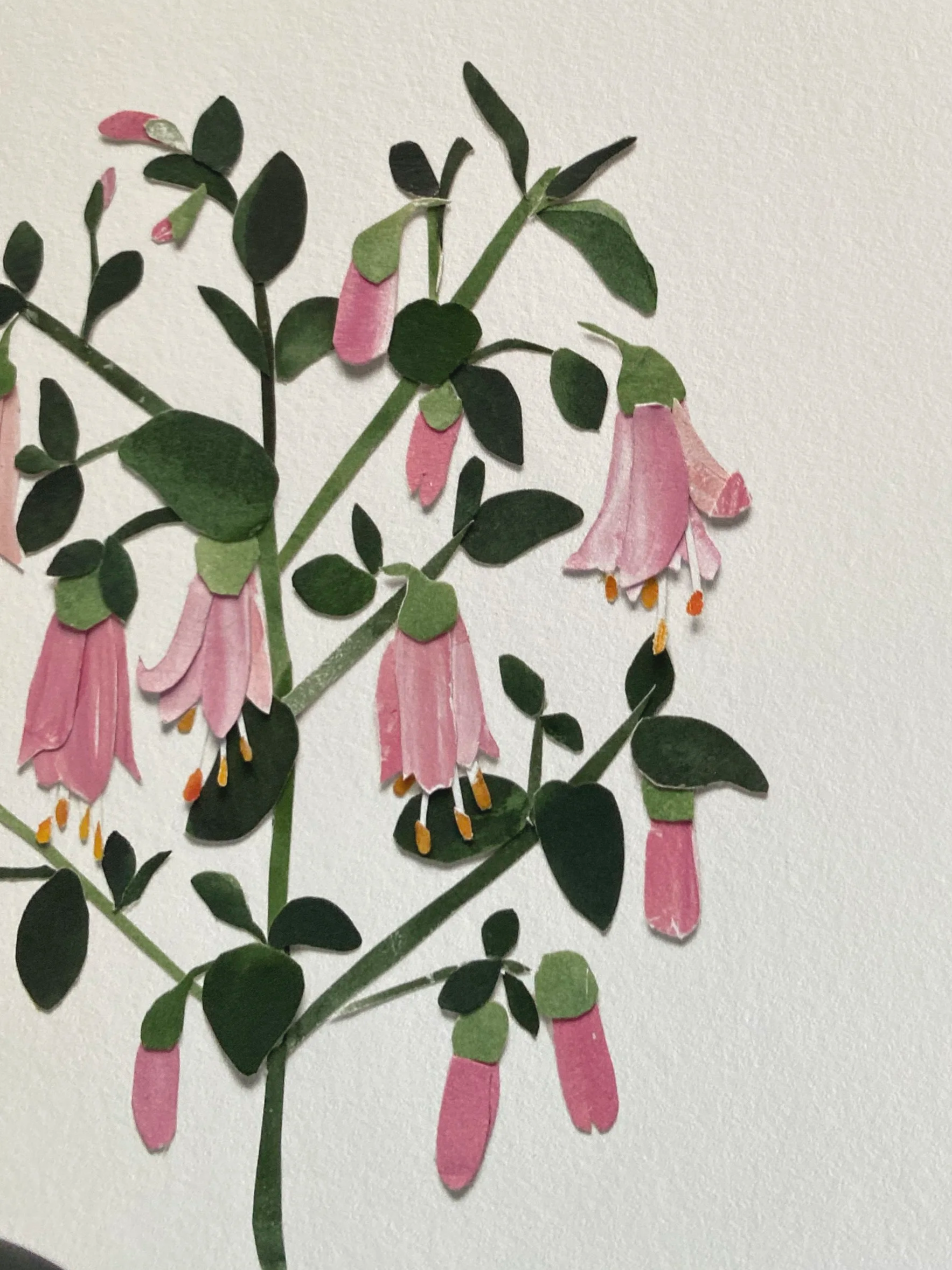 Paper collage of pink bell-shaped flowers and green leaves on a white background.