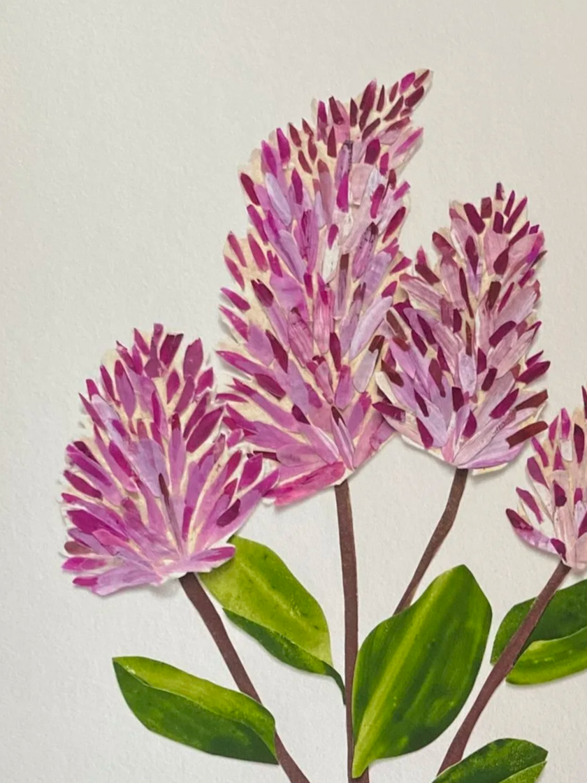 A painted illustration of pink and purple flowers with green leaves on a white background.