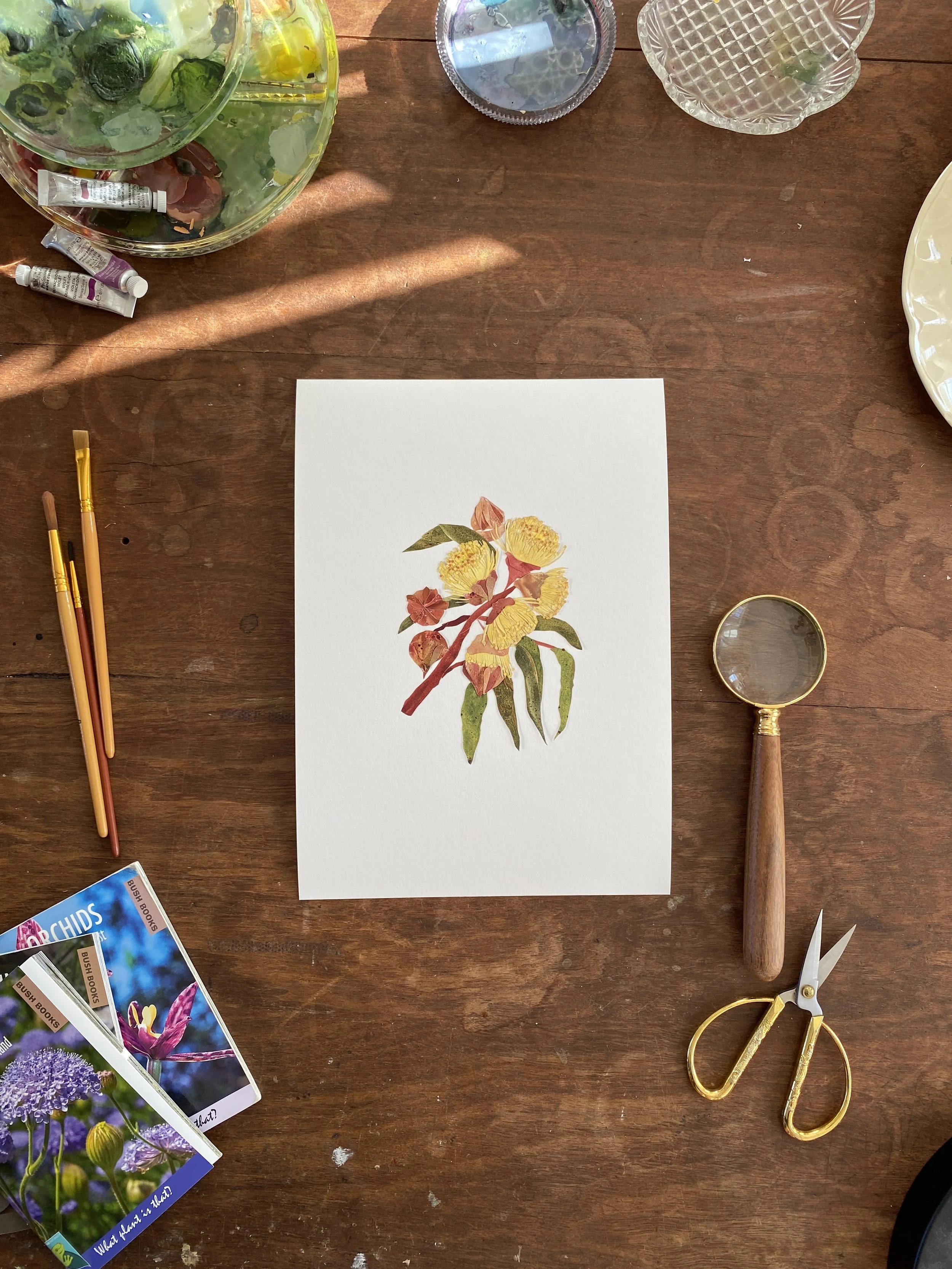 Tahnee Denholm Studio | Fine Art Prints - Kingsmill Mallee.JPG (Copy)