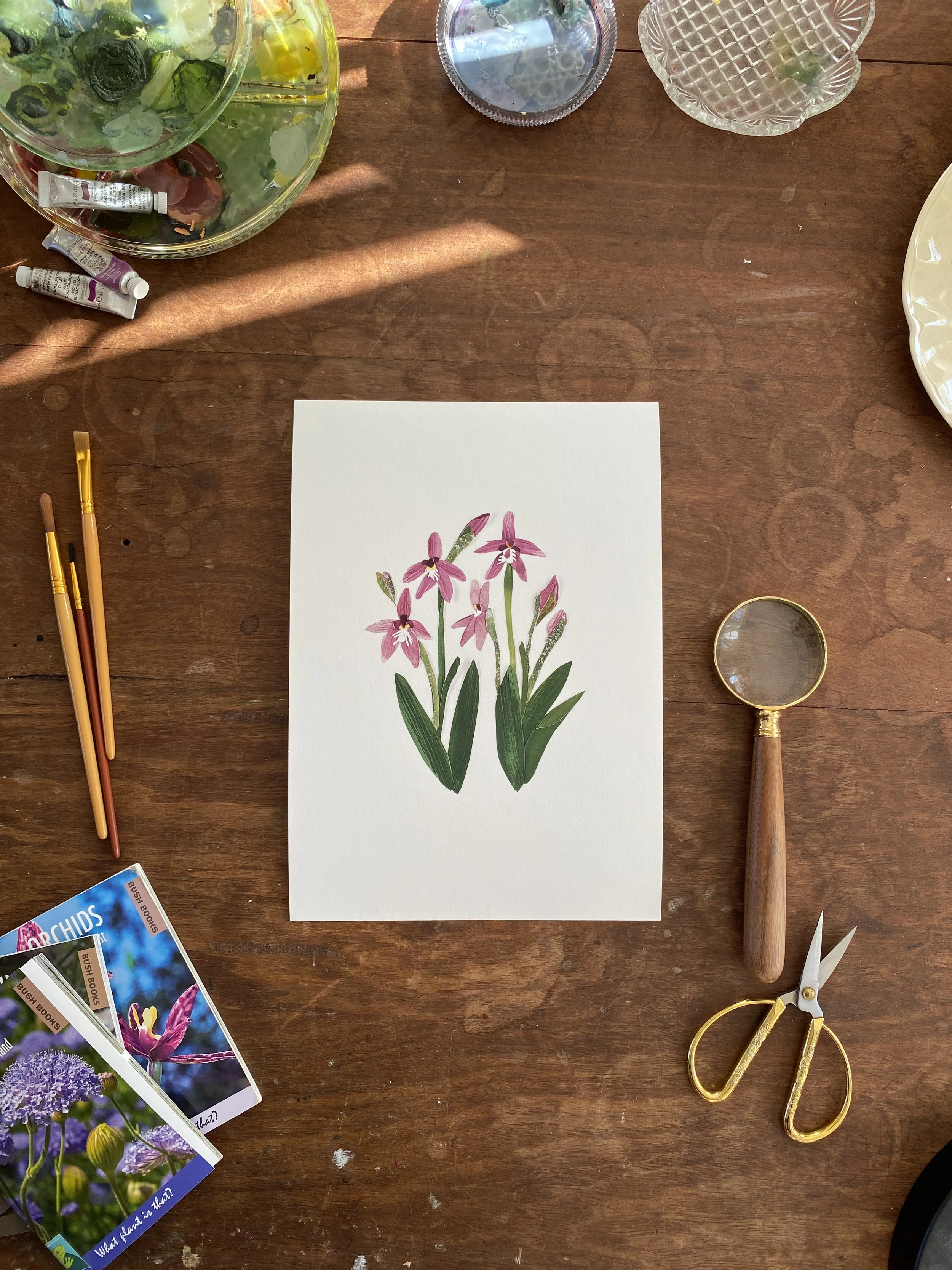 Tahnee Denholm Studio | Fine Art Prints - pink fairy orchid.JPG