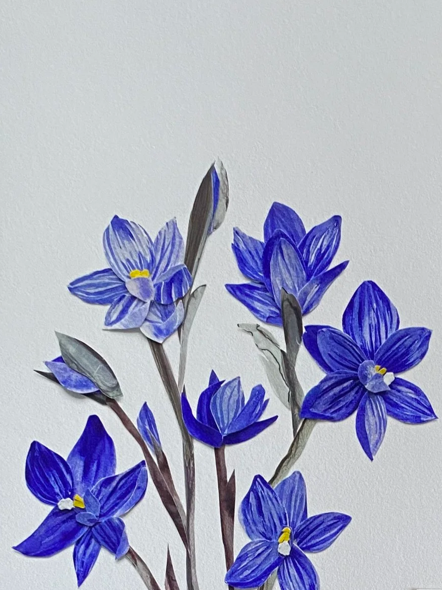 Painted illustration of blue wildflowers with yellow and white centers against a plain off-white background.