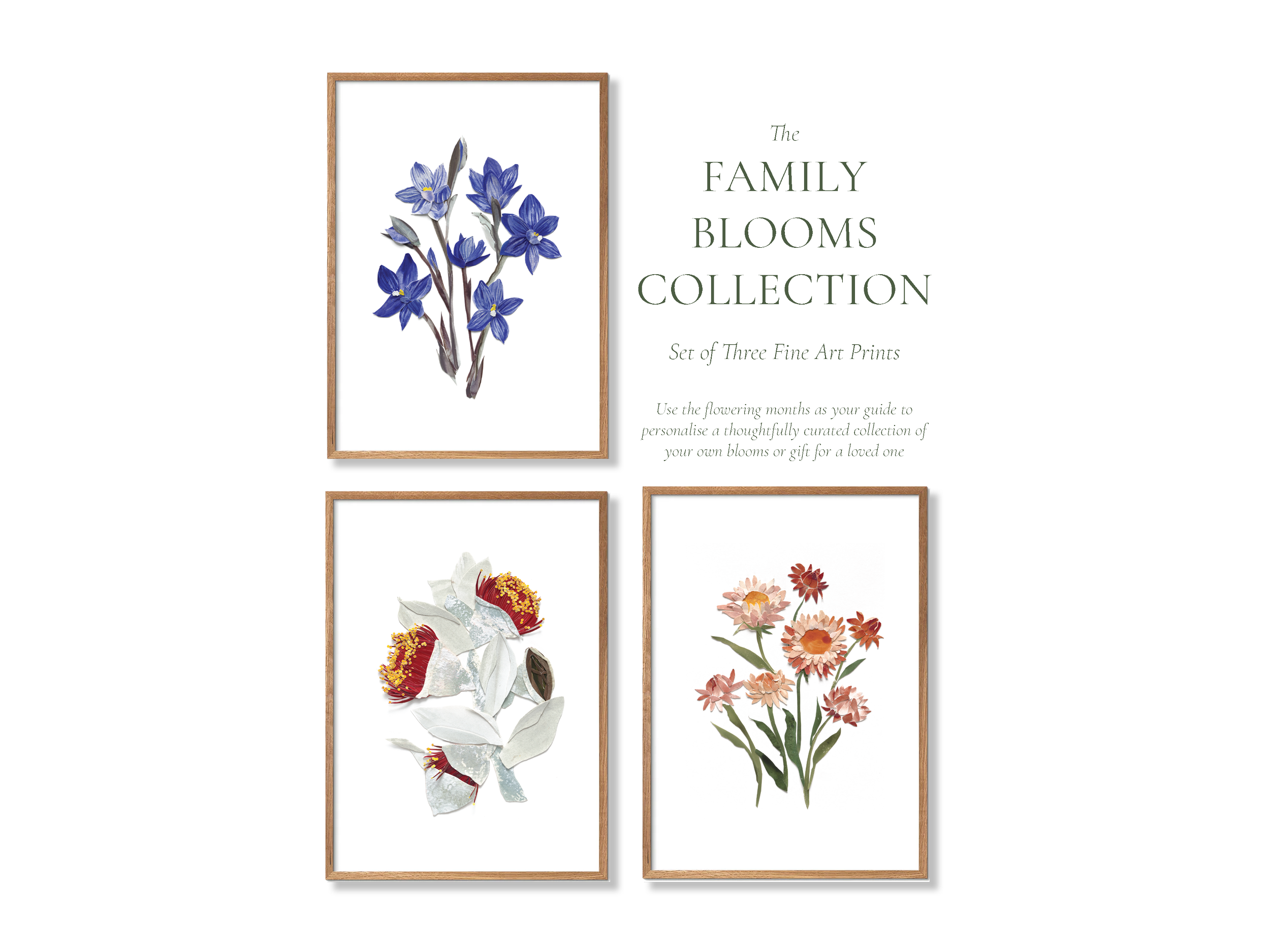 Family Blooms Collection _01.png