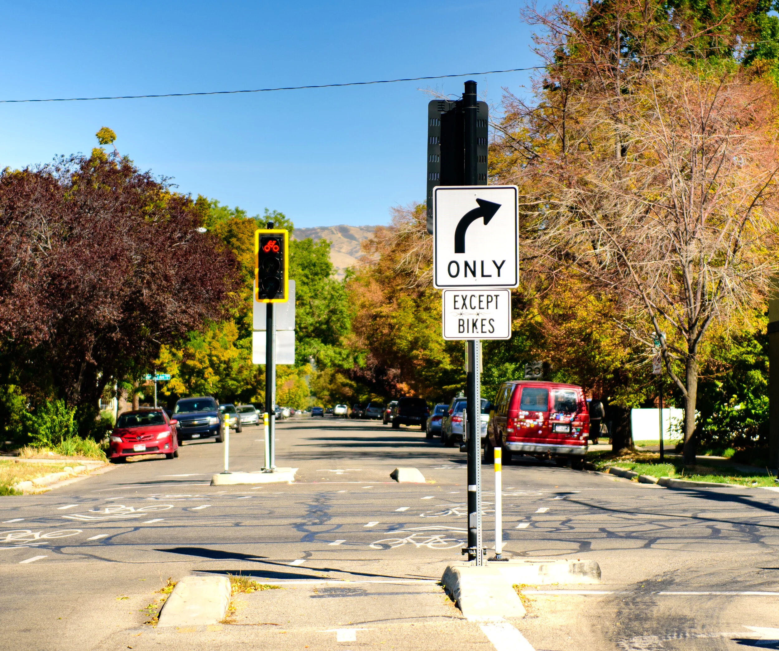 Liberty Wells-589x1600.jpeg