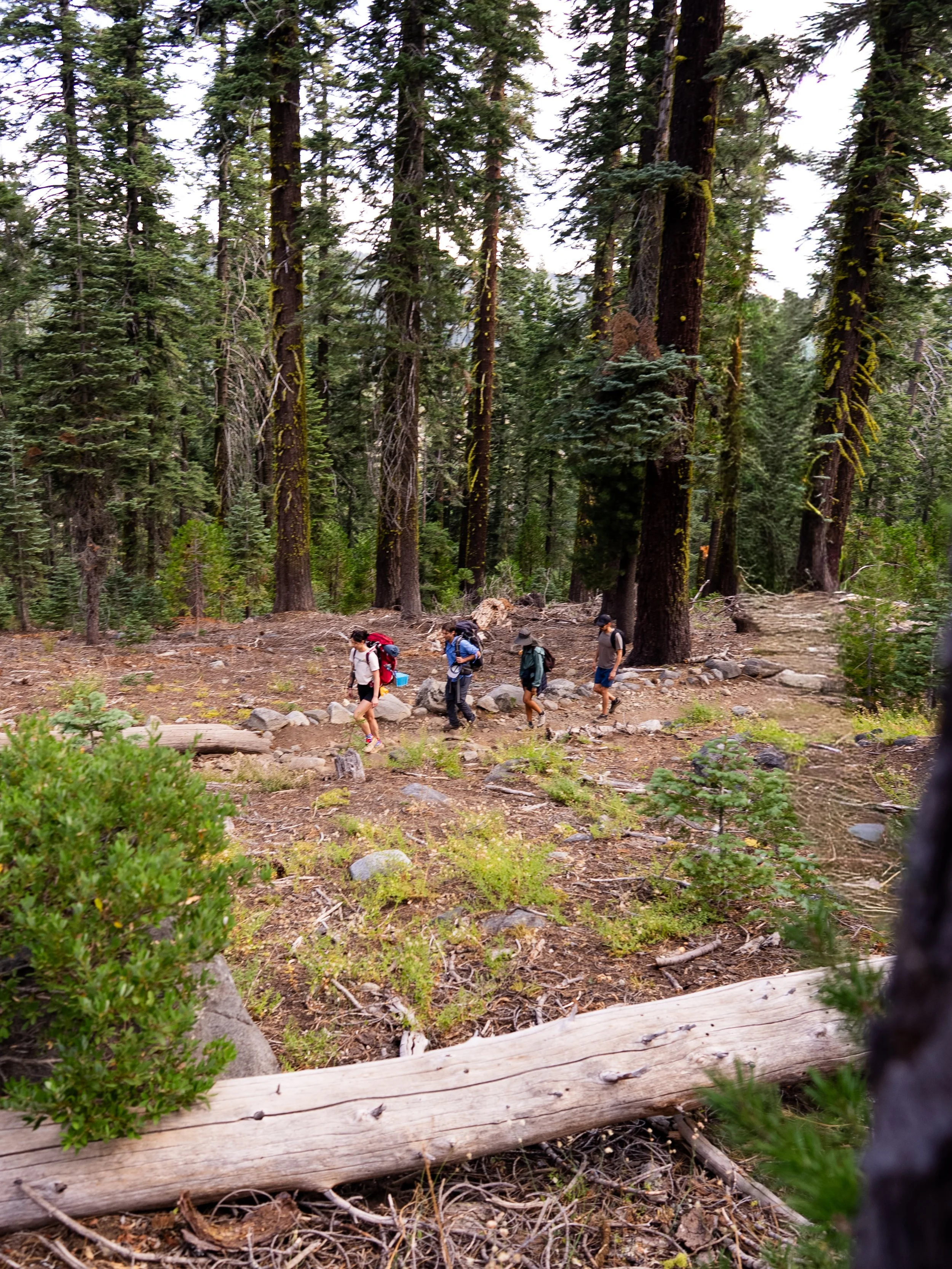 Loch Levens Hike 2026 Photos-12.jpg