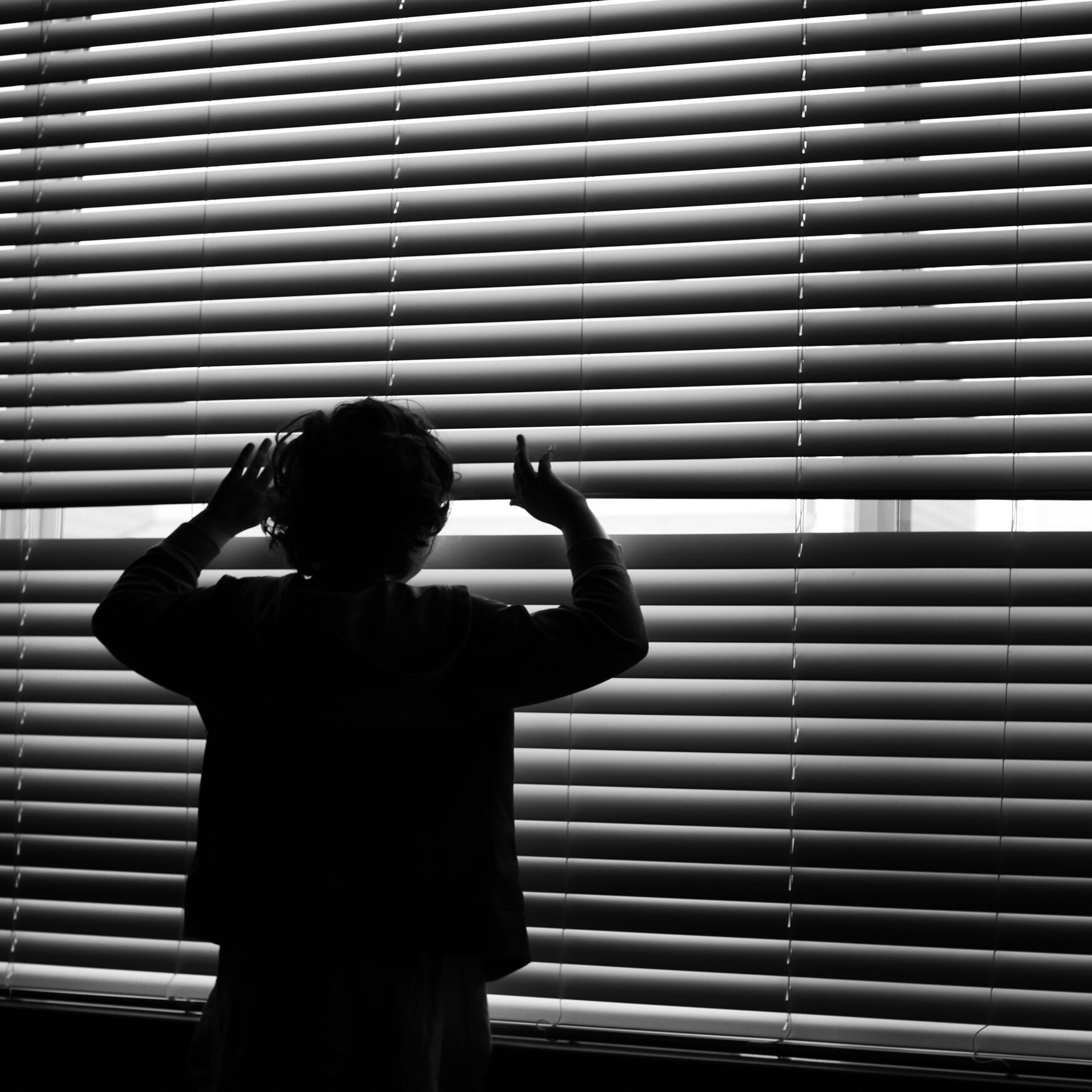 Mold and it's contribution to PANS/PANDAS