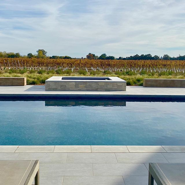 Fall vineyard views from our Healdsburg project