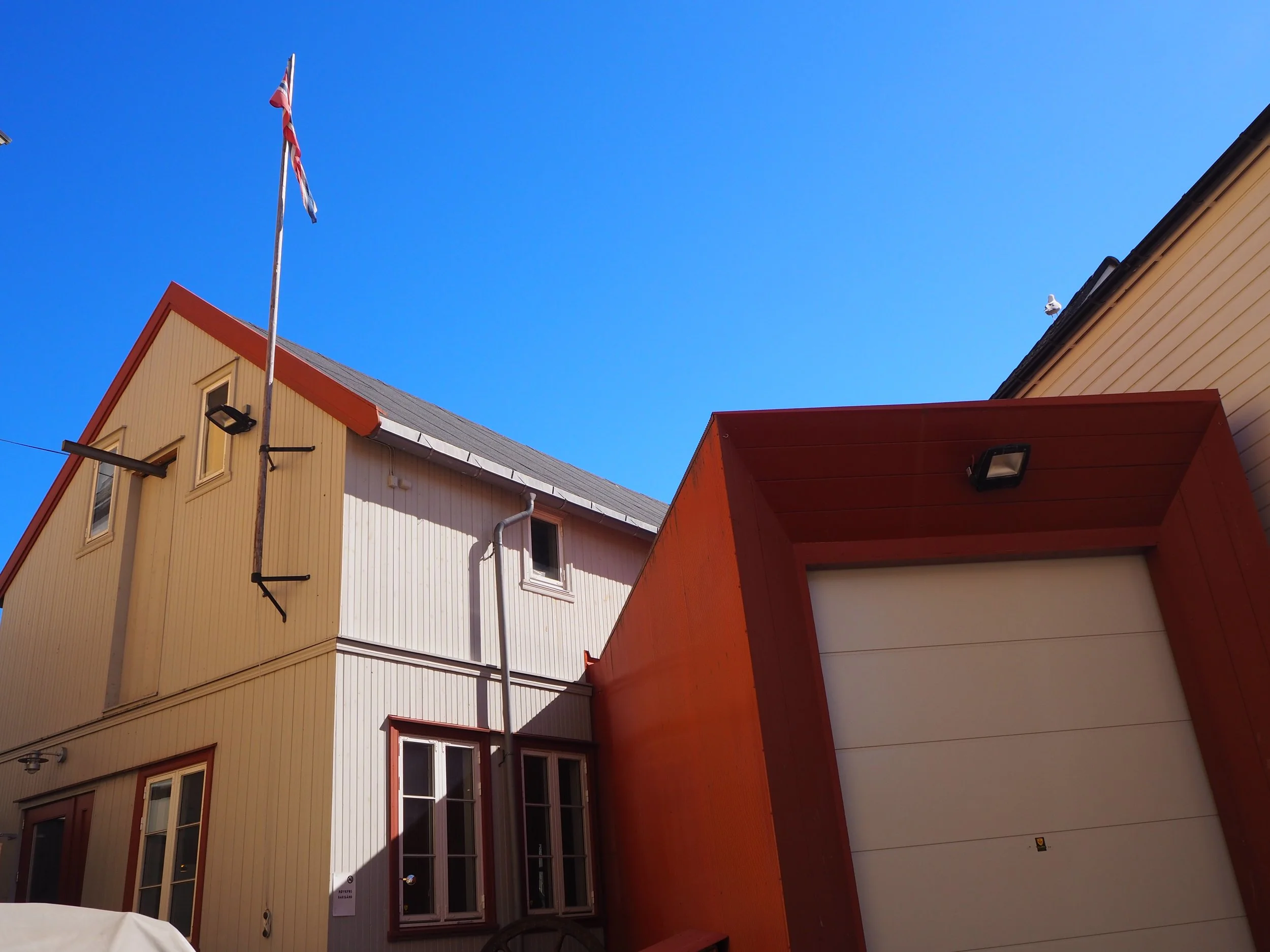 P6131933.JPG