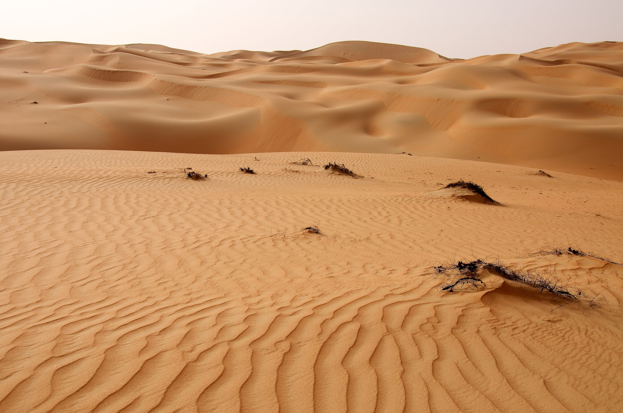 20120420_4607_Liwa.jpg