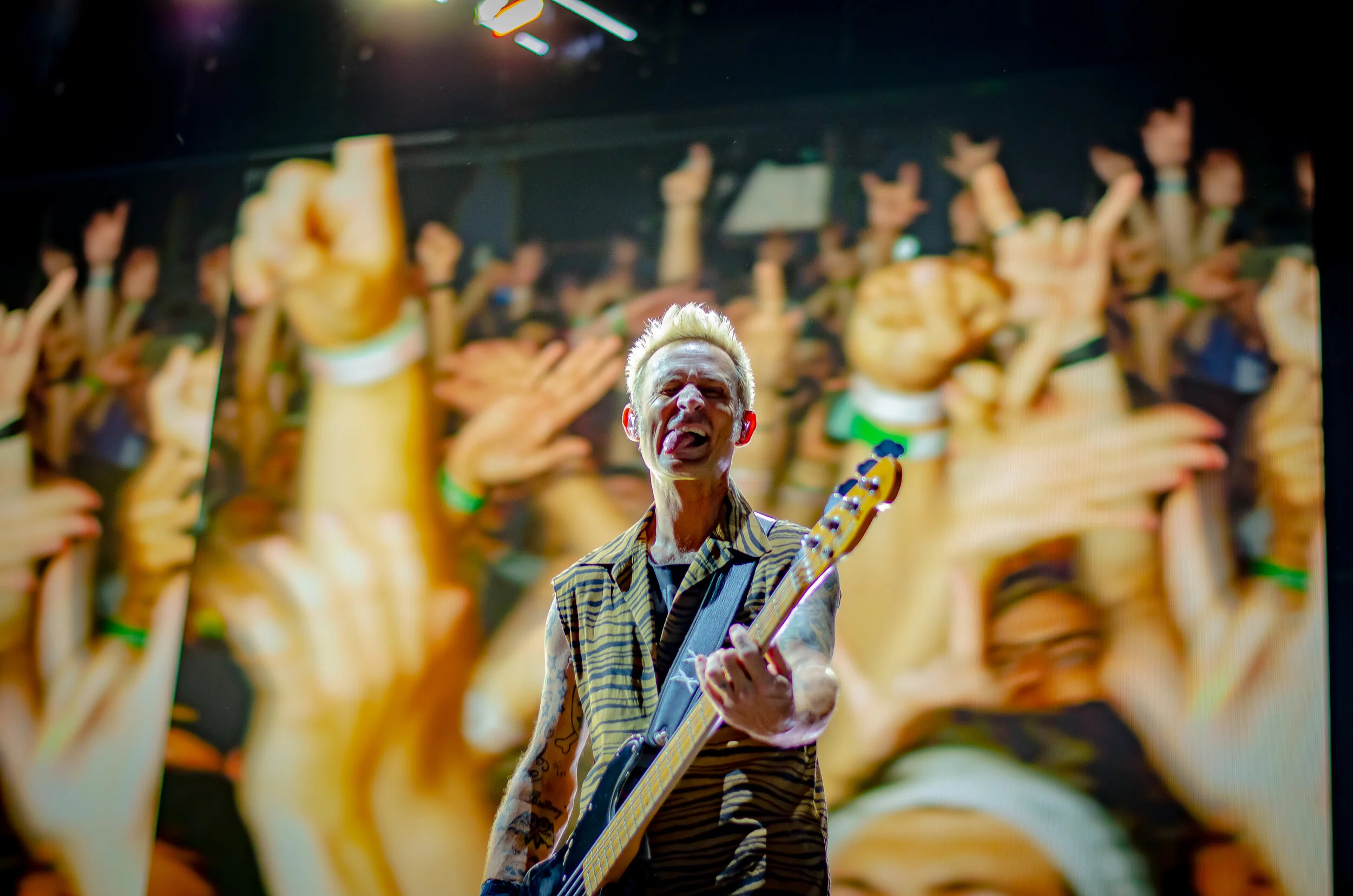 GreenDay-18.jpg