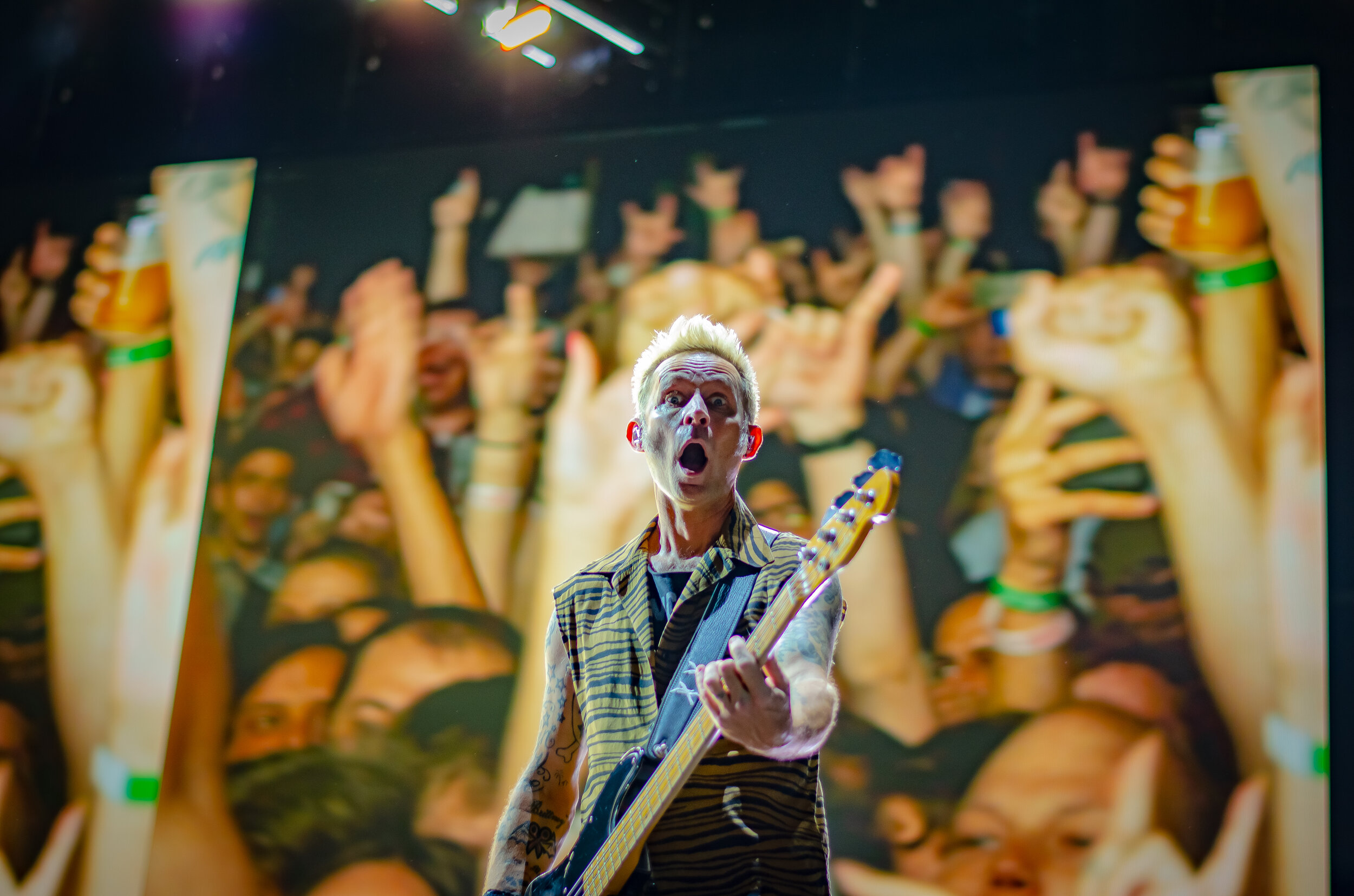 GreenDay-17.jpg