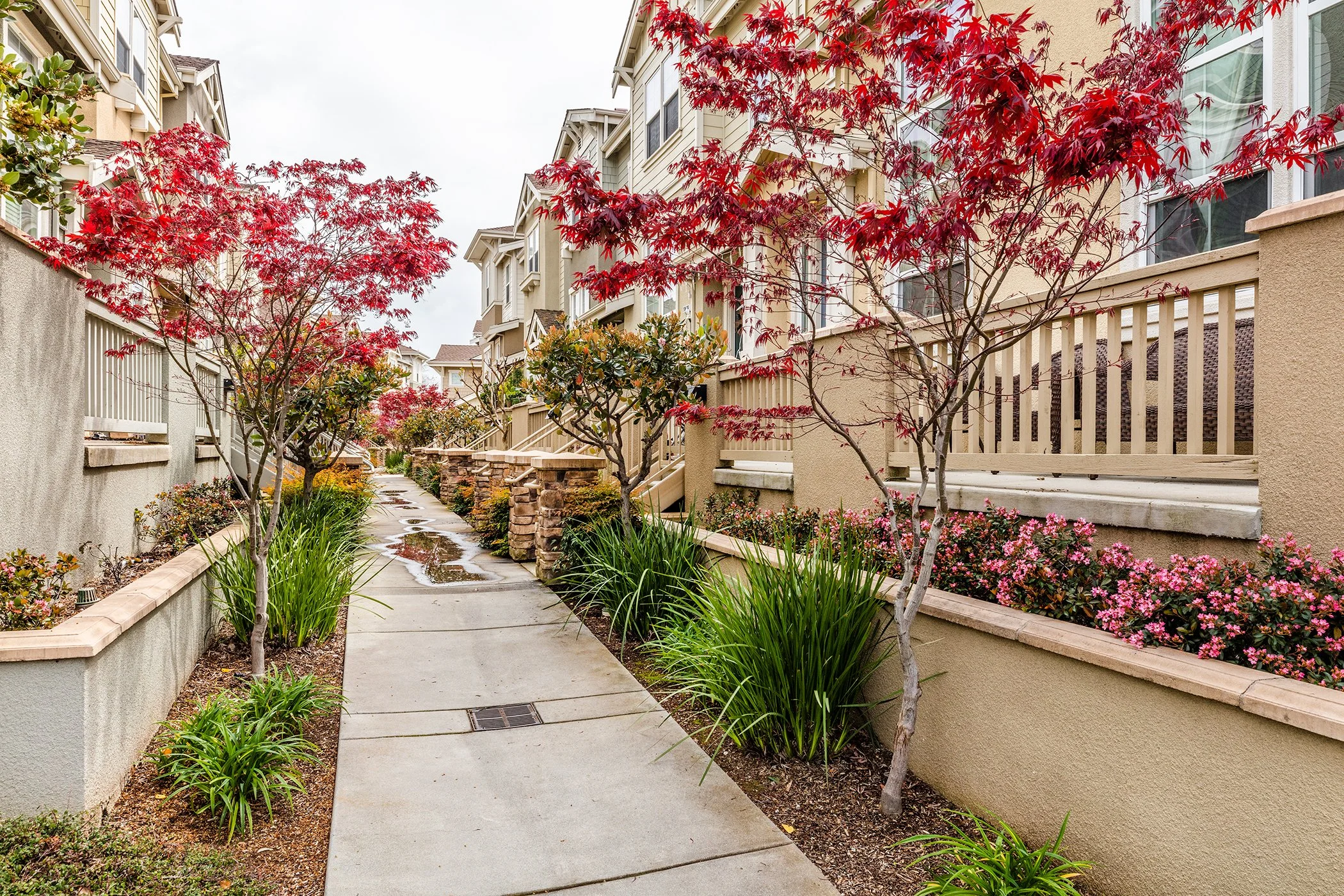10-18440-Emerald-front-walk-mls.jpg