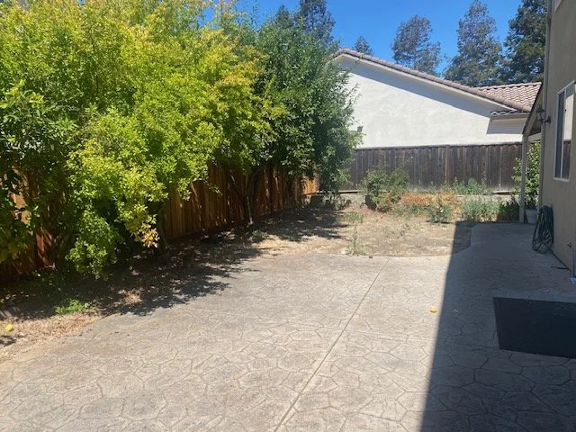 Backyard1.jpg