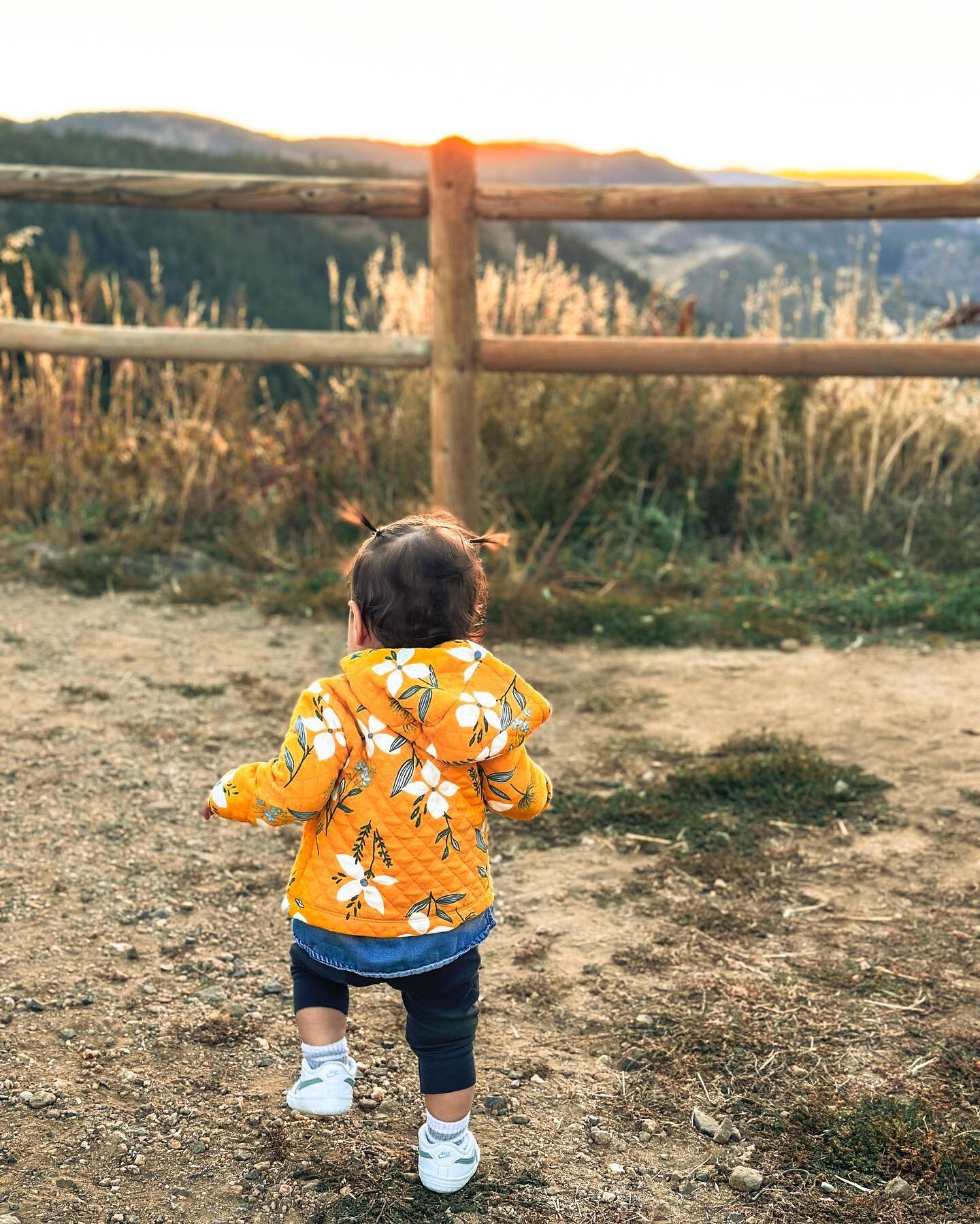 Been busy chasing this cute little back of head through fall in Colorado 🍂🏃&zwj;♀️💨