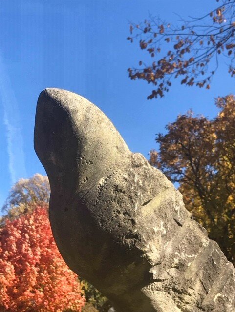 fall driveway bird.jpg