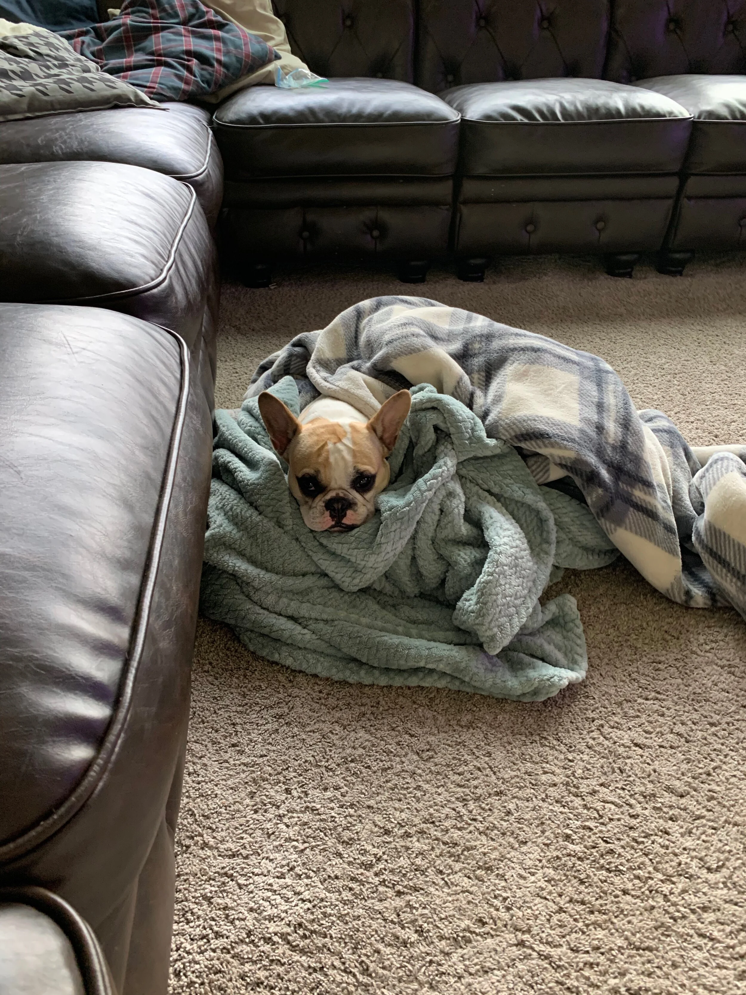 IMG_3216.jpeg