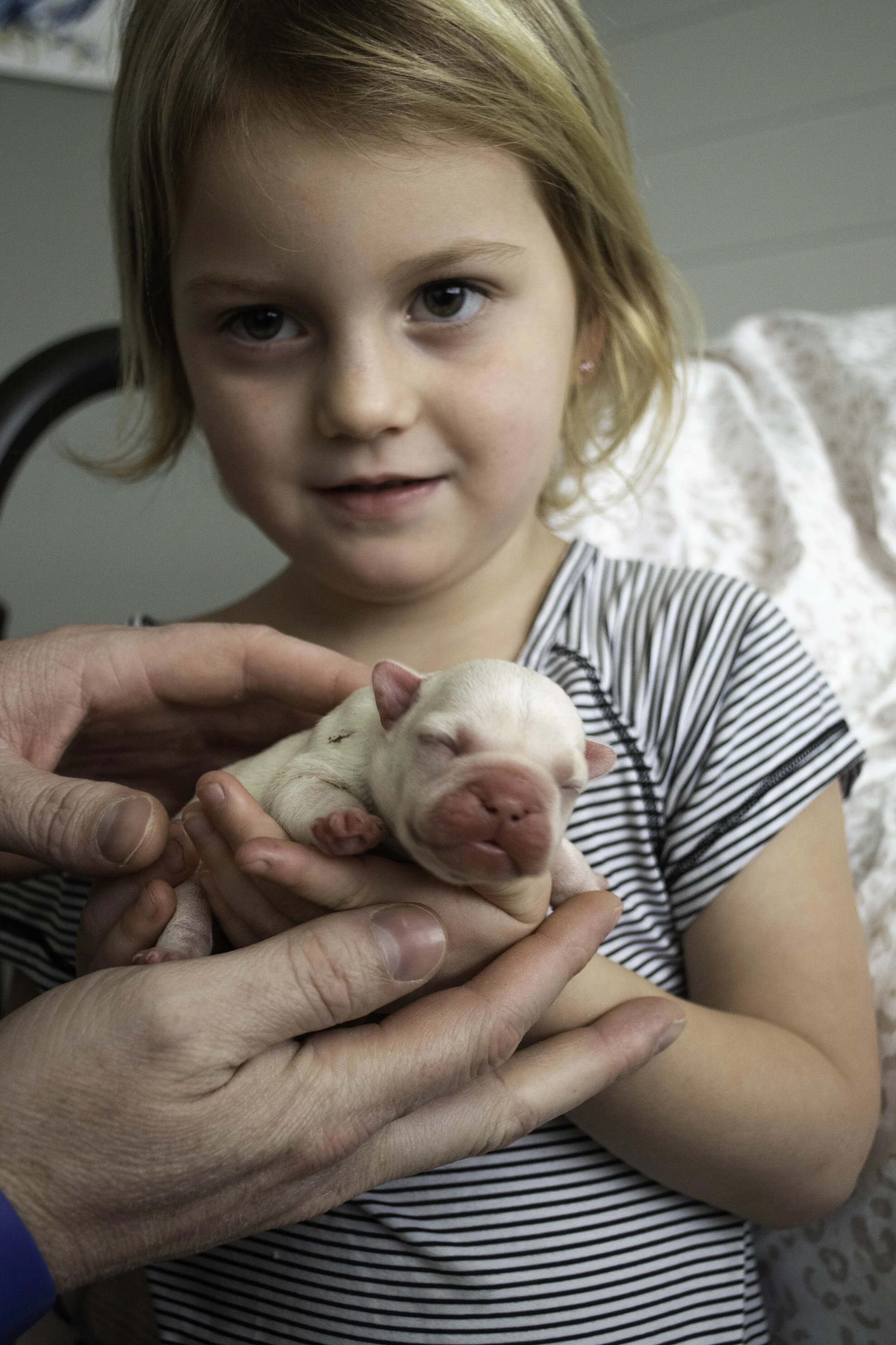 Izzy 2019 litter-22.jpg