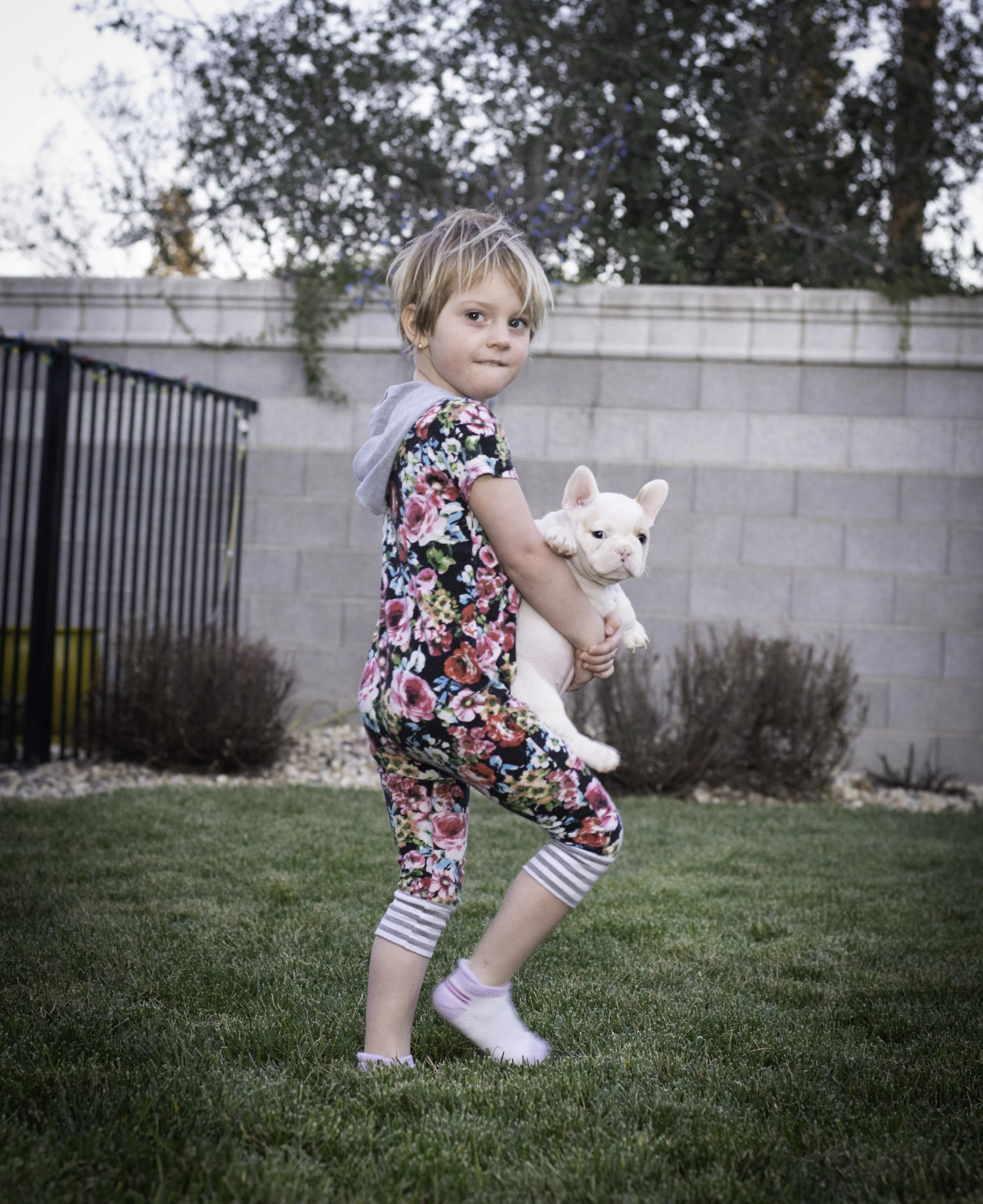 frenchie feb 5 2020 web-6.jpg