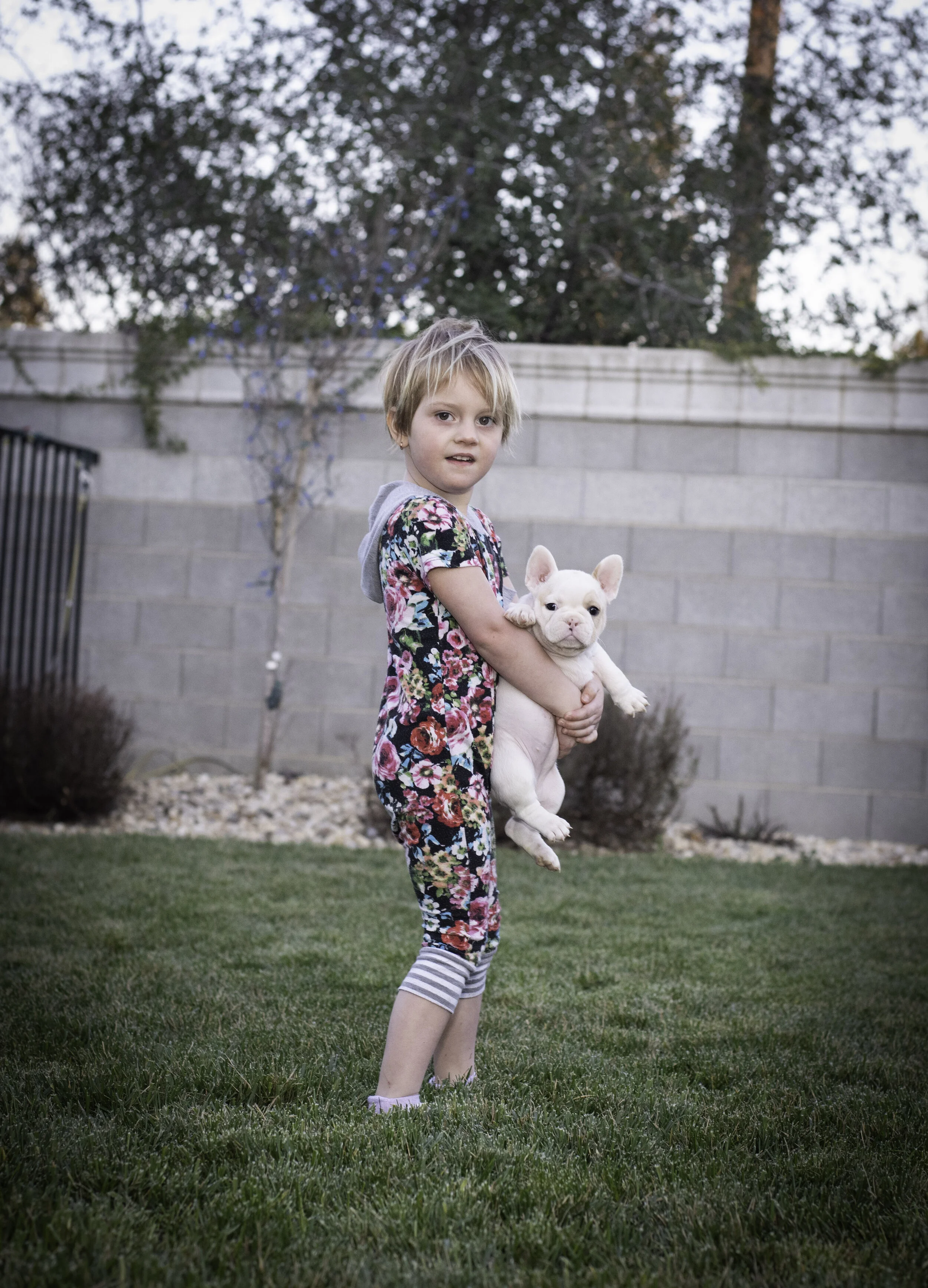 frenchie feb 5 2020 web-7.jpg