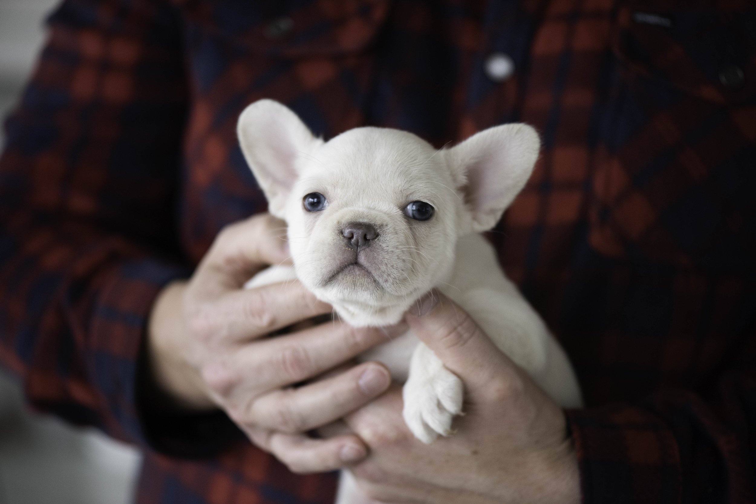 Lunas pink Girl web-17.jpg