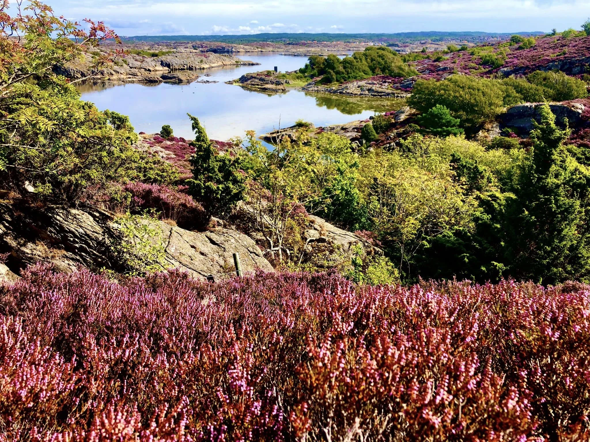 301803174_10166428500205273_1378467113534229746_n (1).jpg