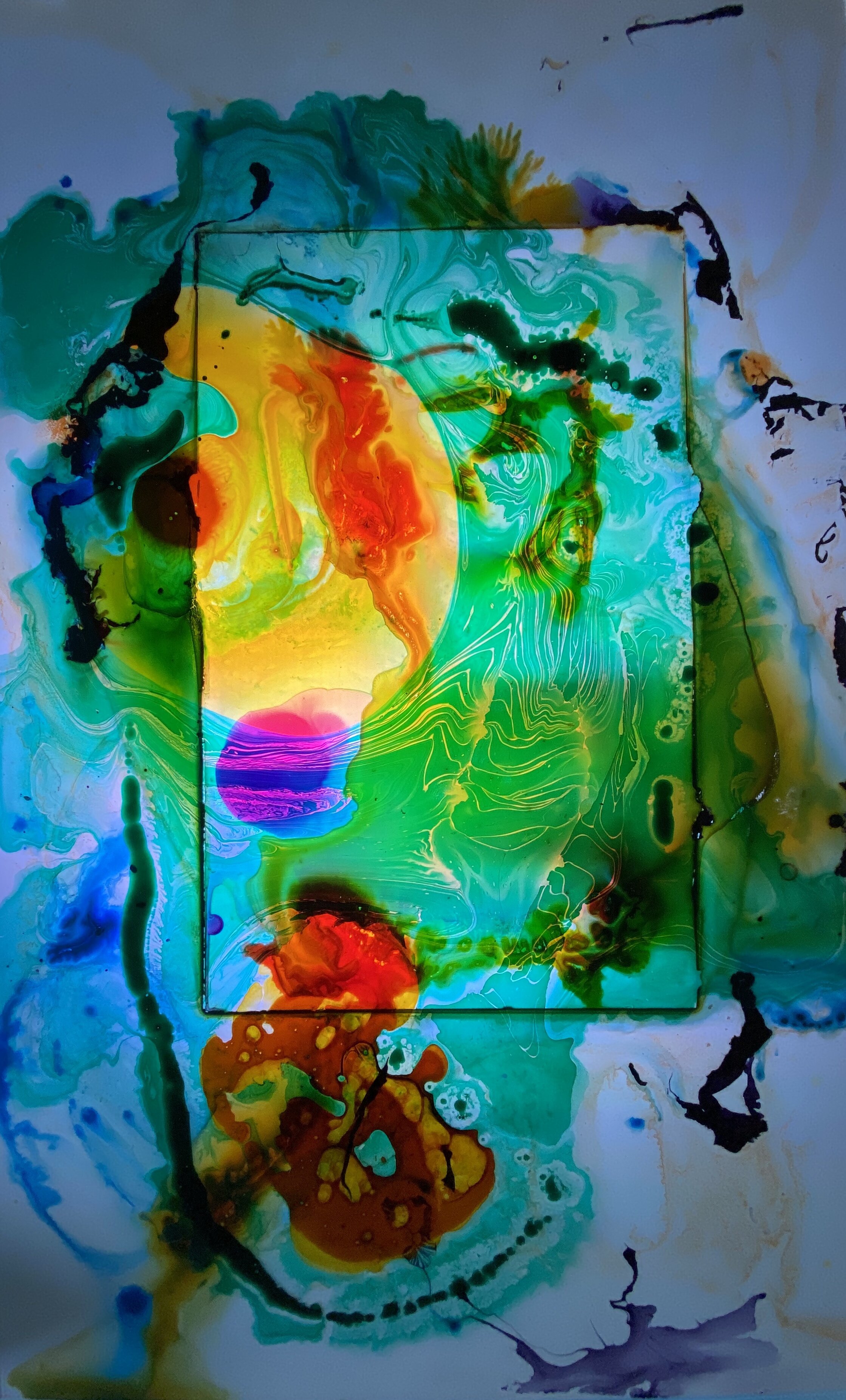 C3A08857-06E9-454B-8F4F-4274BBB19274.jpeg