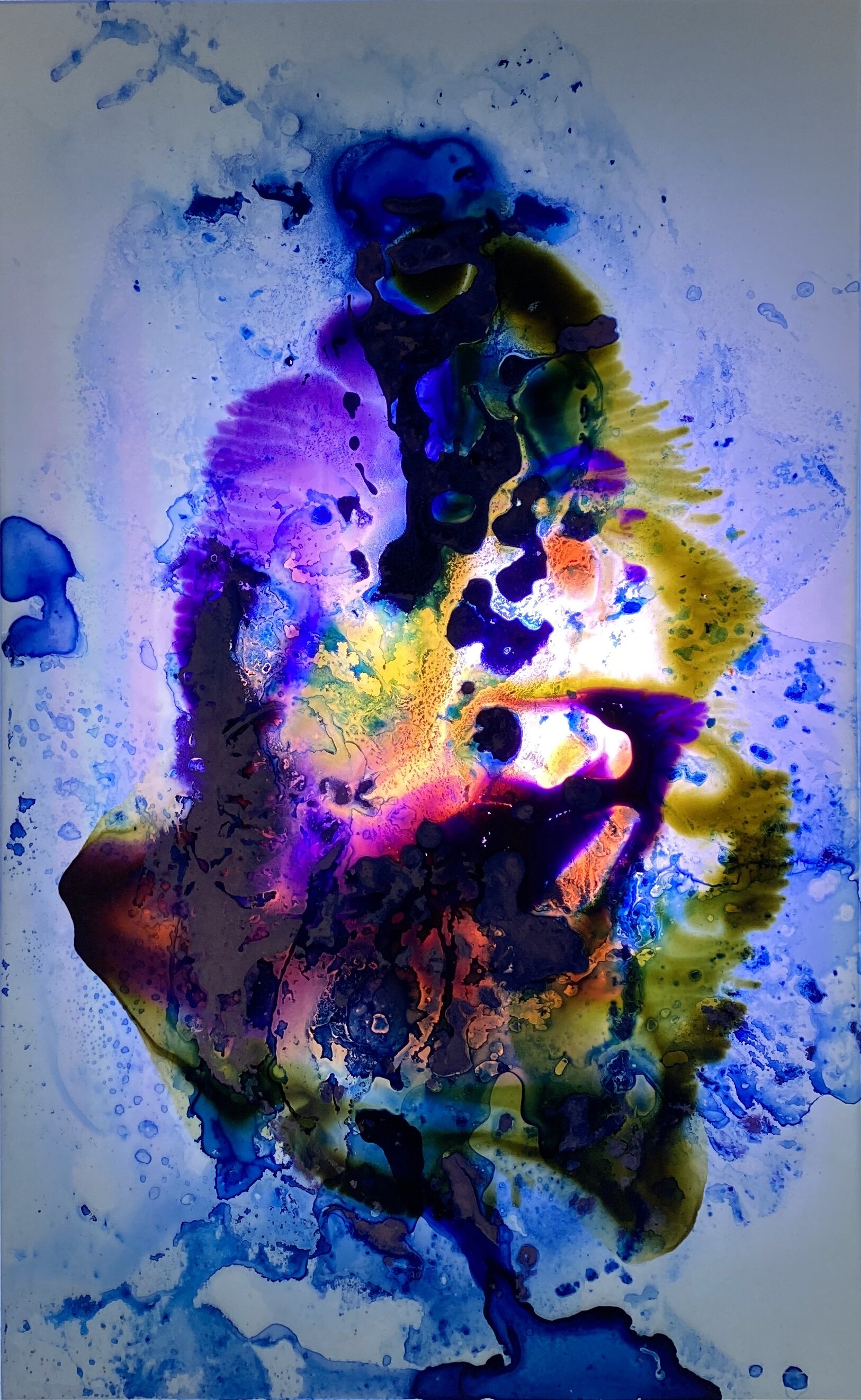 EE2E6727-3D9E-4C03-A62C-D8F7B102CE27.jpeg