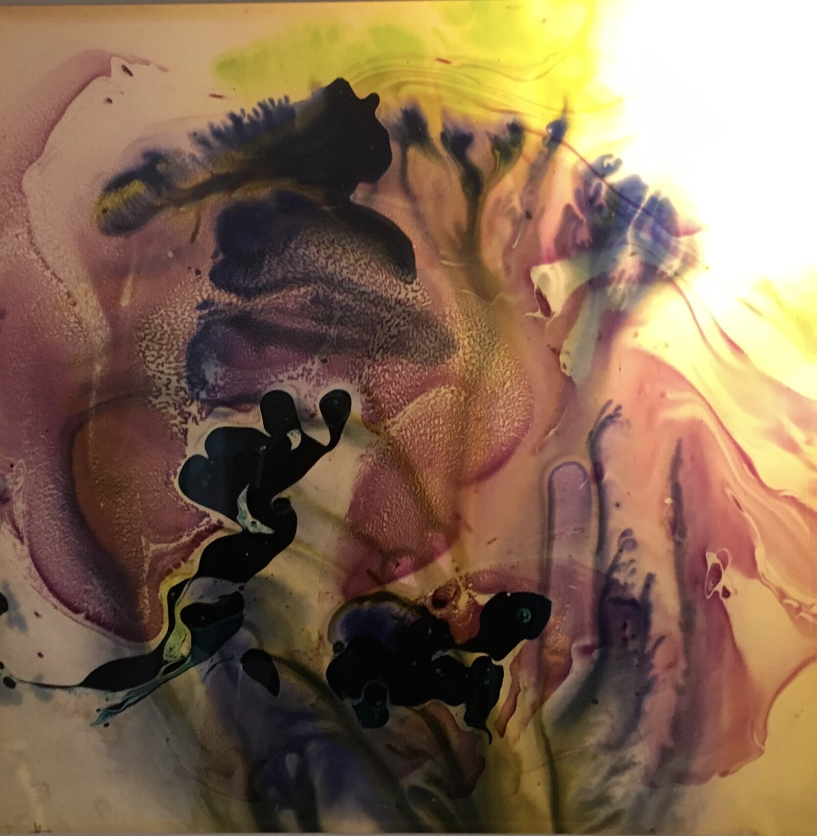 8ECE5D6E-9134-4890-B162-28D9CC6E1A79.jpeg