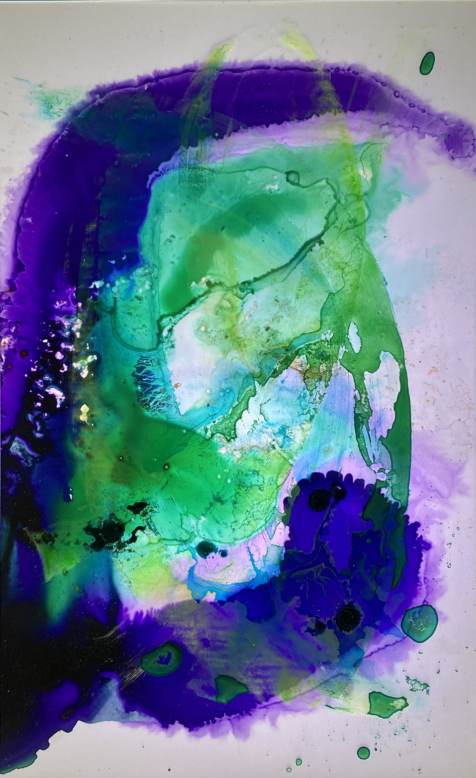 C2162D14-7B3B-46A0-BC63-331285D807F4.jpeg