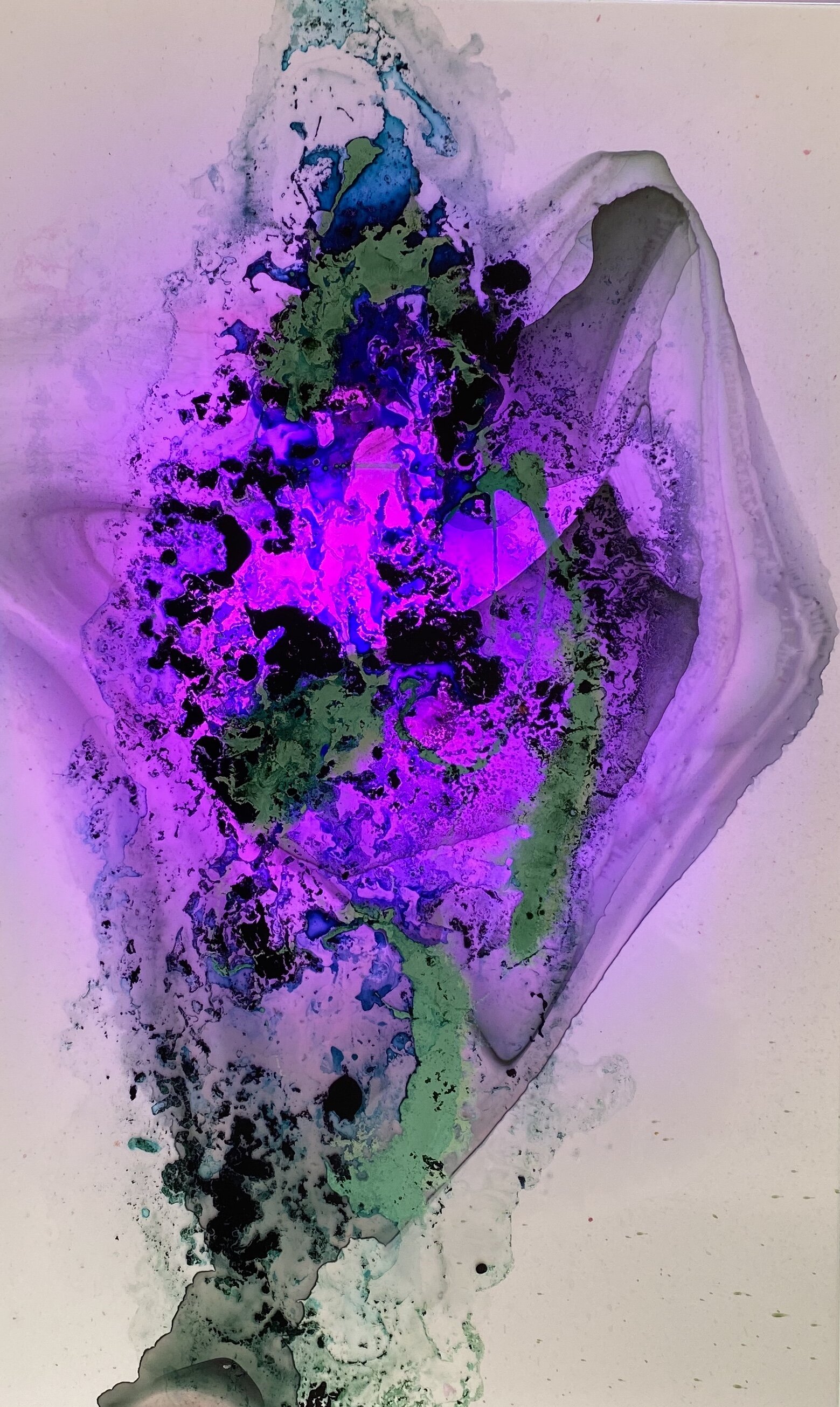 E72F9E70-DE48-4DF3-A058-D0B3B2365469.jpeg