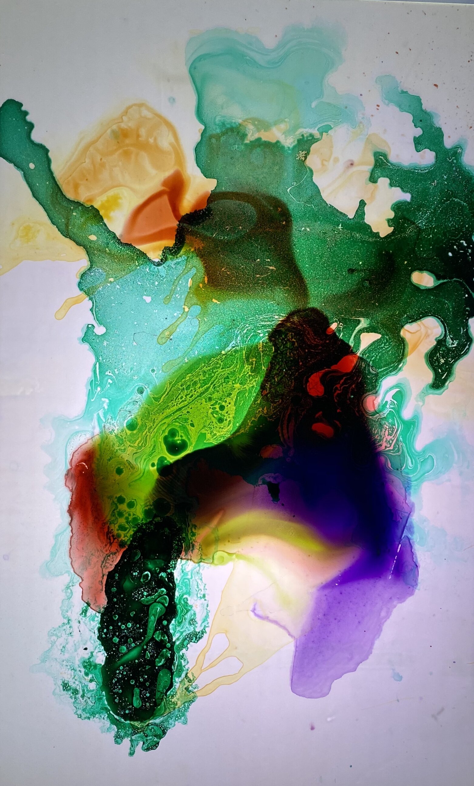 4C7BB850-F35B-423C-BE15-0A3587104CD0.jpeg