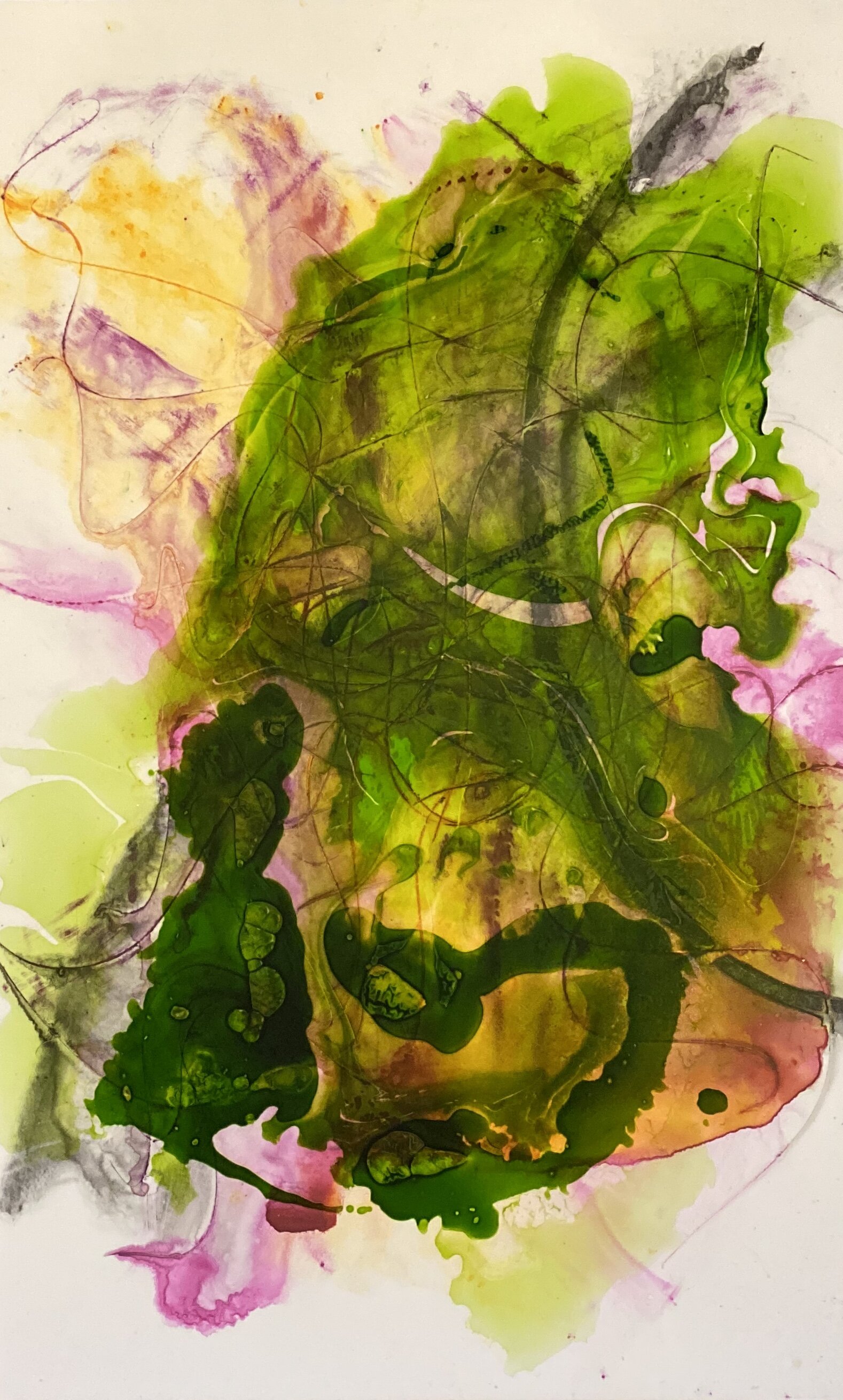 B702BE72-5B16-49F3-A587-F10691D7FBC6.jpeg