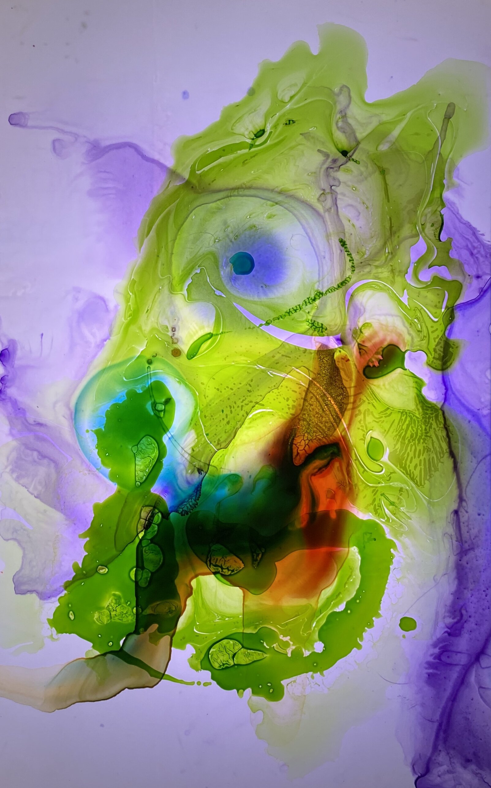 1FBEDD47-B2E2-417B-B9B7-848B42AC91C3.jpeg