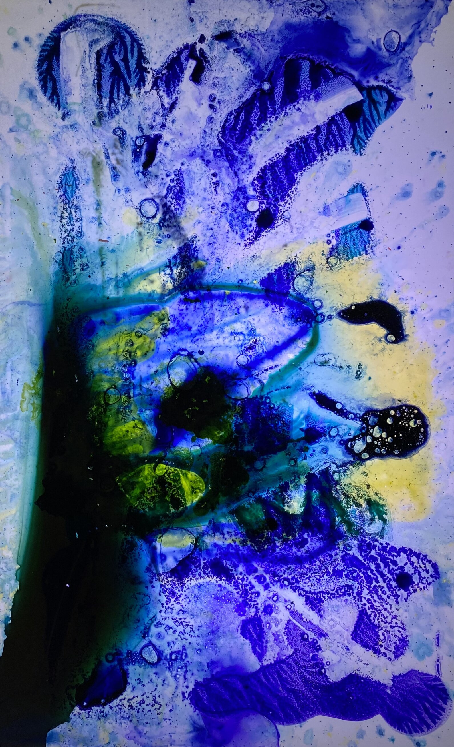 8273D4B1-841D-4842-83E6-0D95ABA8C03C.jpeg