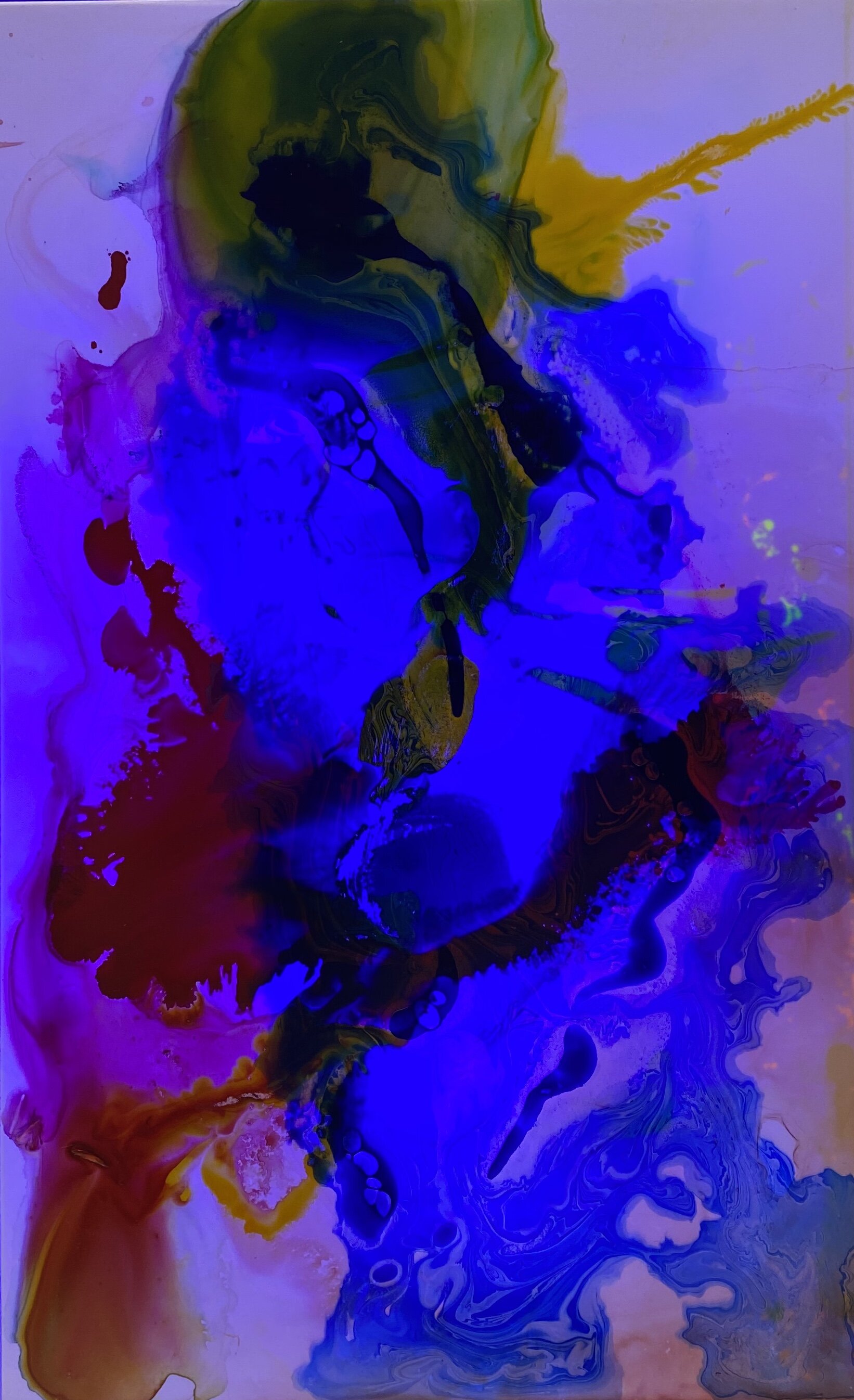 06614A24-4EDB-4913-B48B-9CEBB722E721.jpeg