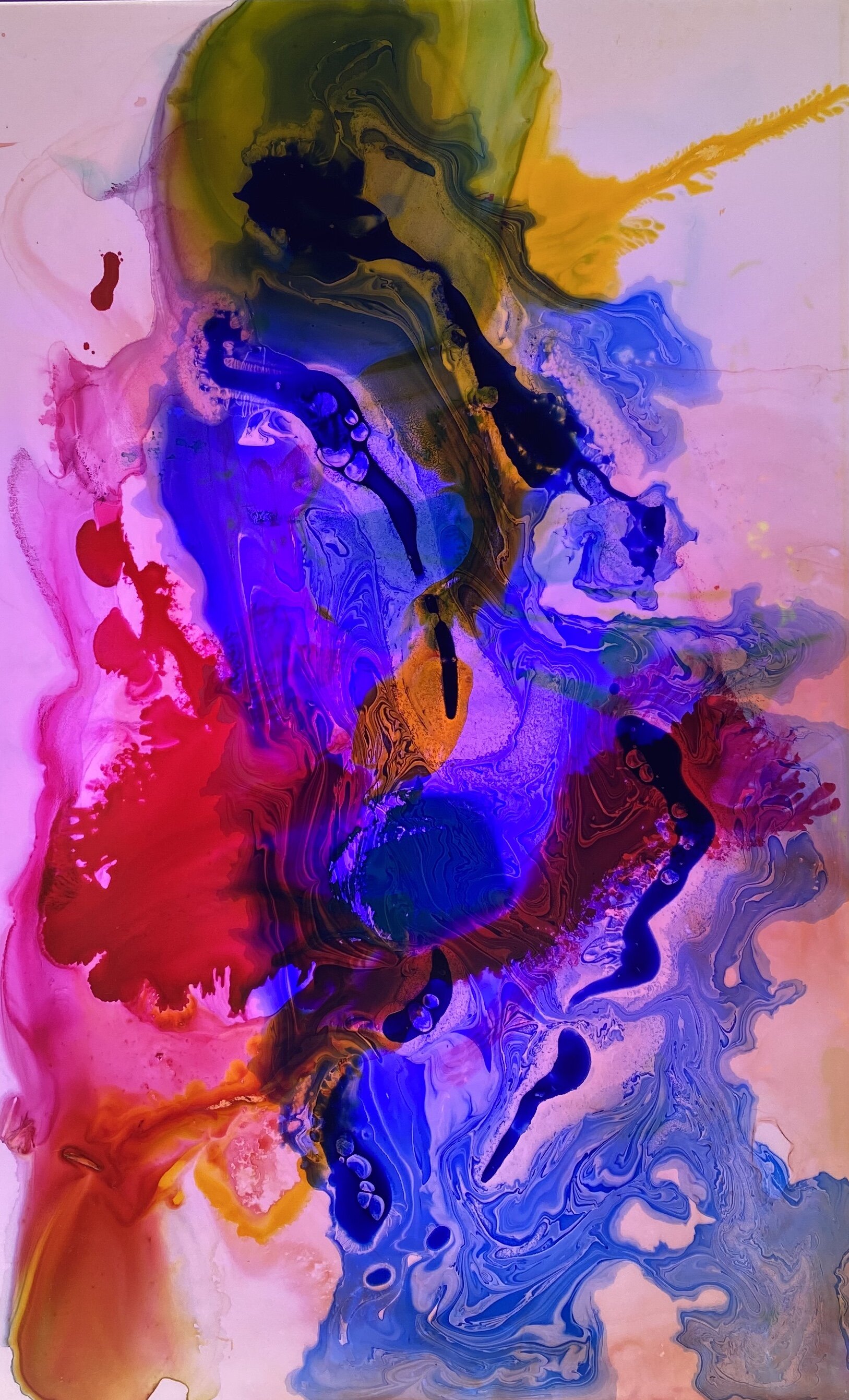 8C999E45-4A43-4ABA-AC58-A03A170B0610.jpeg