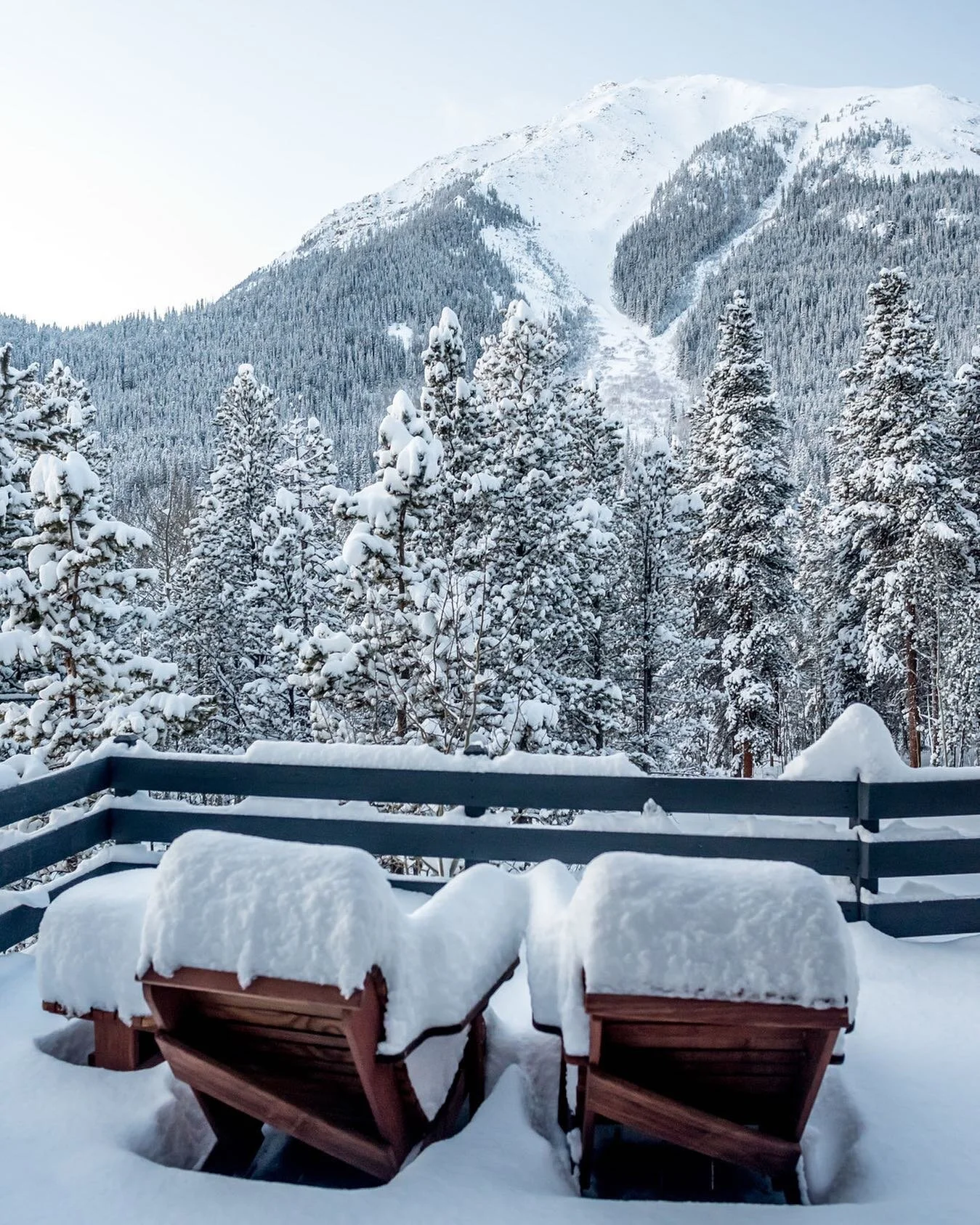 Happy New Year! ✨ It isn't always easy or fun taking care of a remote property. But it's certainly a gift and one we don't take lightly! We never thought we'd be able to afford a family cabin. It's taken years of hard work, collaboration, and good ol