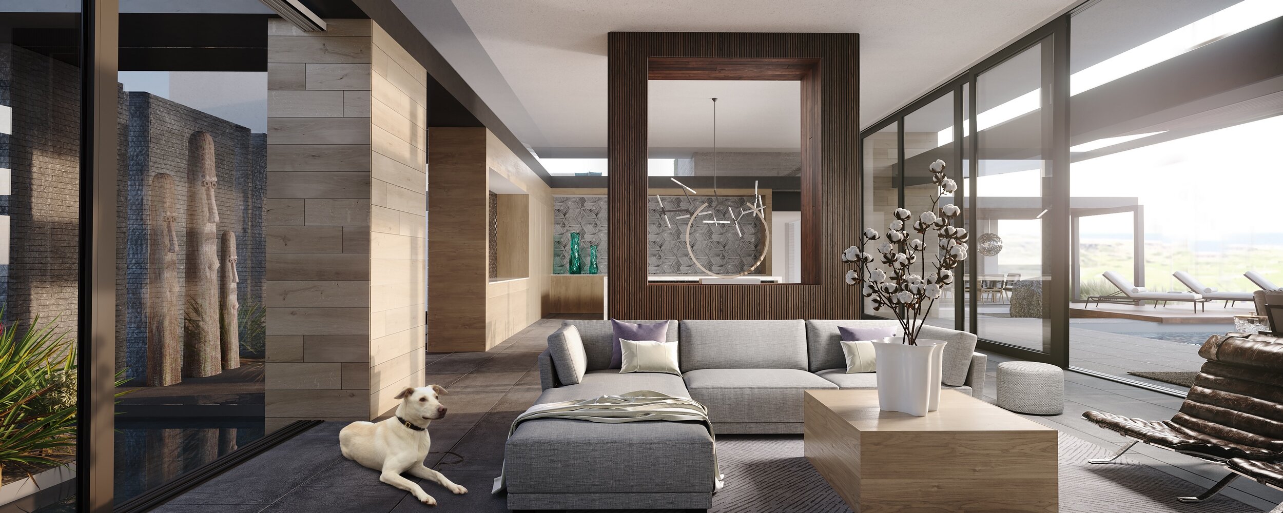 interior dog - low res.jpg