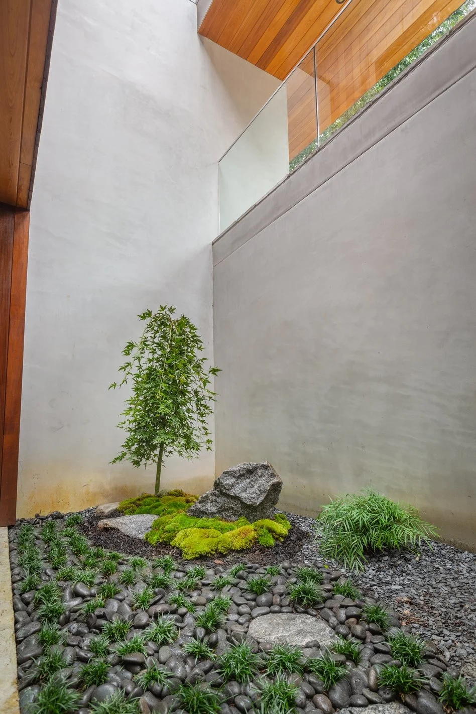 Cherry Tree 20.jpg