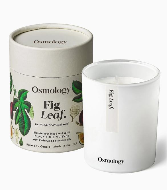 Osmology candle fig leaf.png